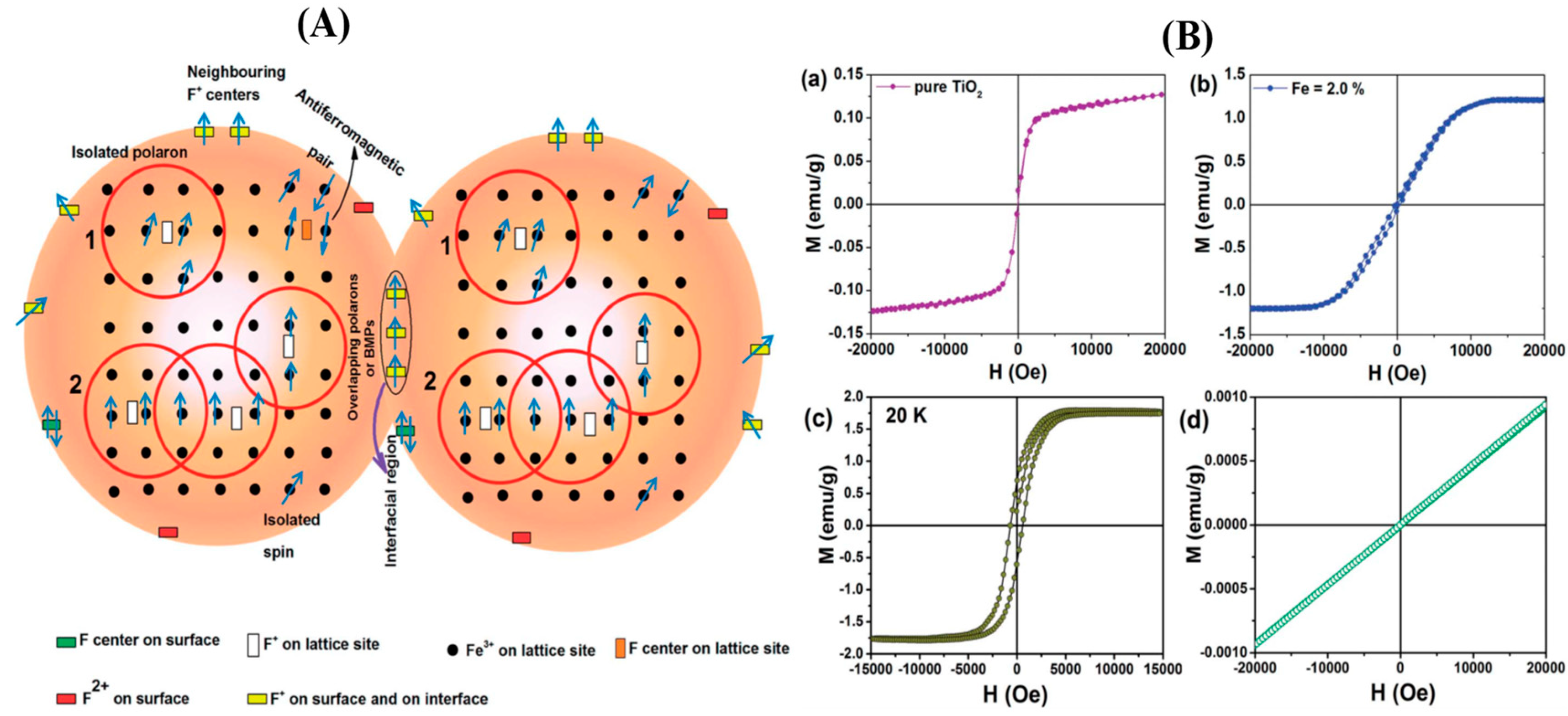 Preprints 95710 g003