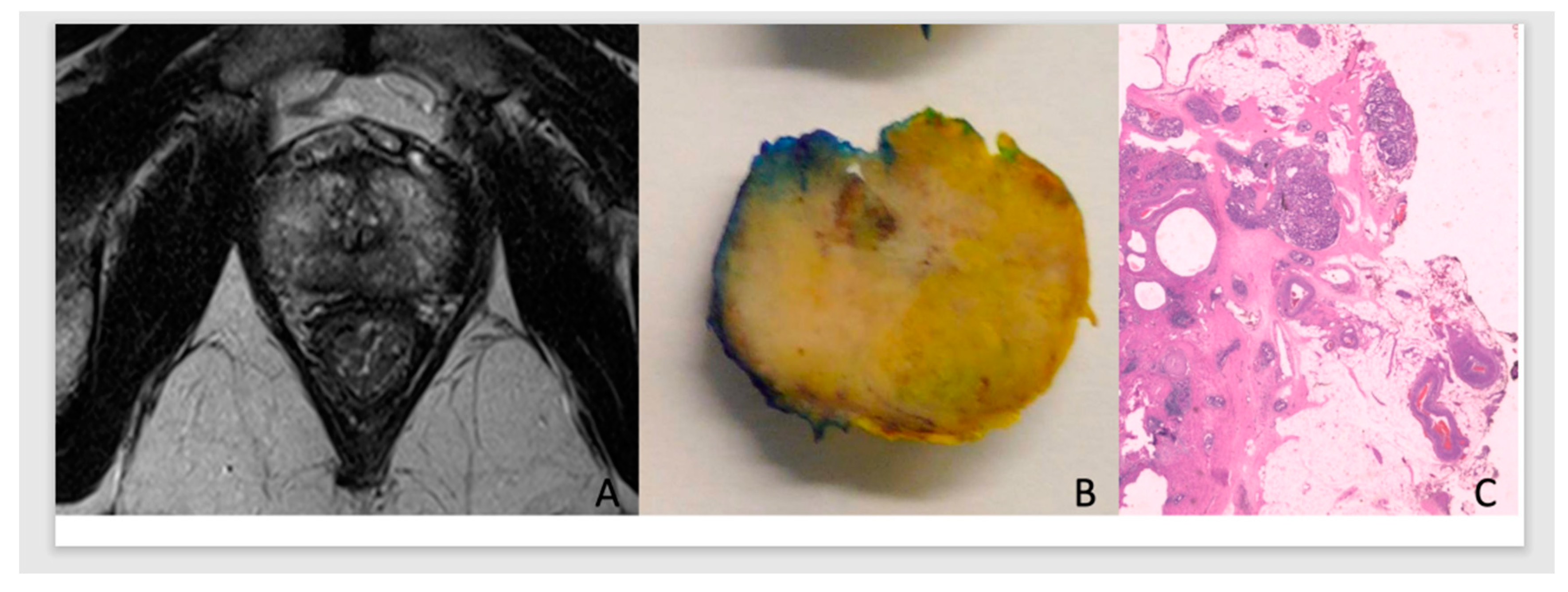 Preprints 86937 g001