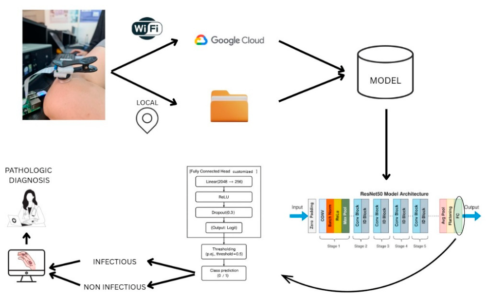 Preprints 215677 g003