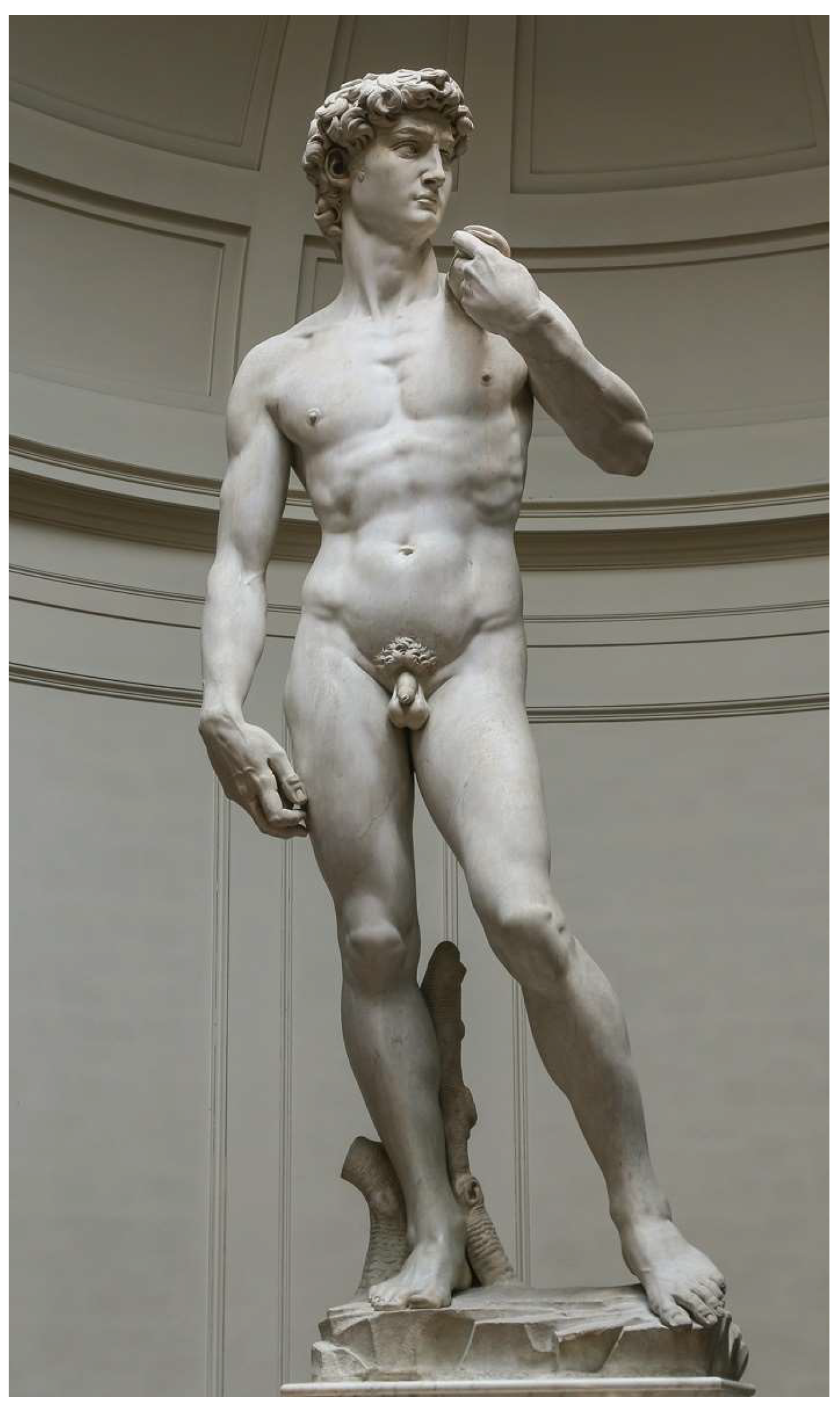 Preprints 145215 g008