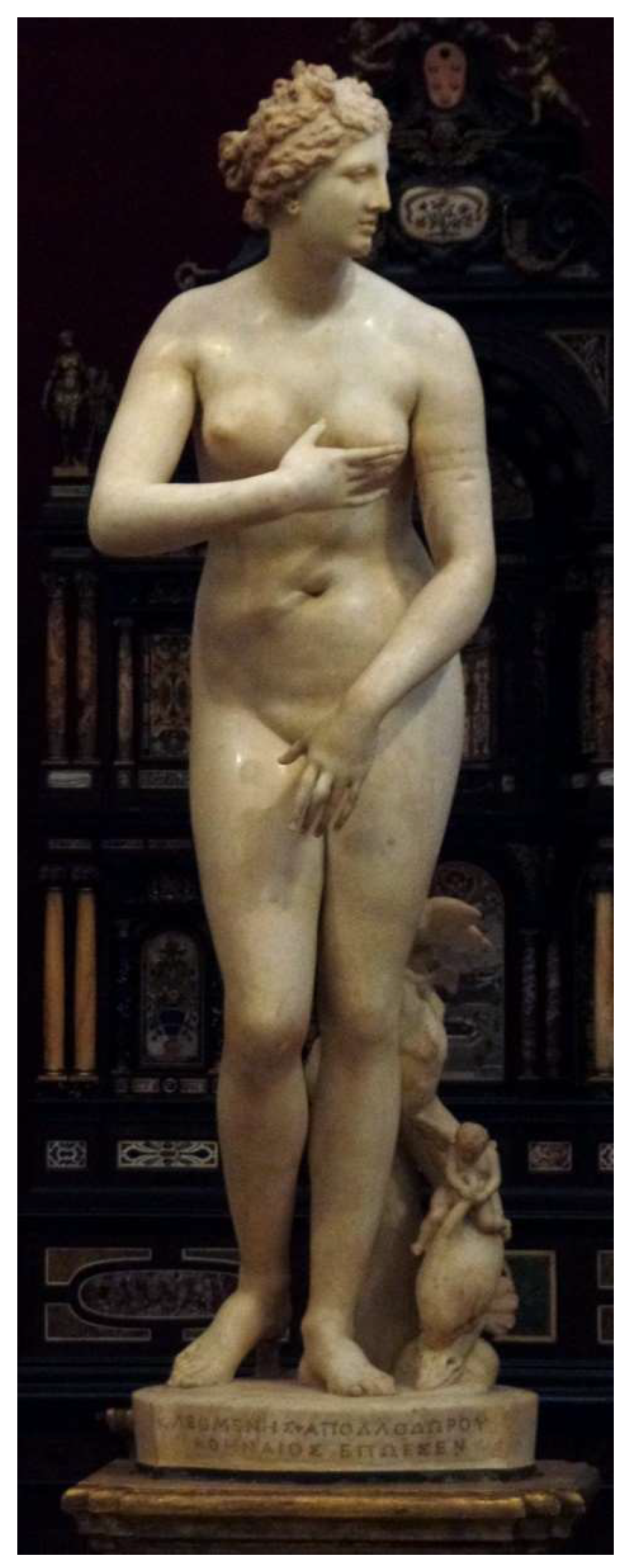 Preprints 145215 g010