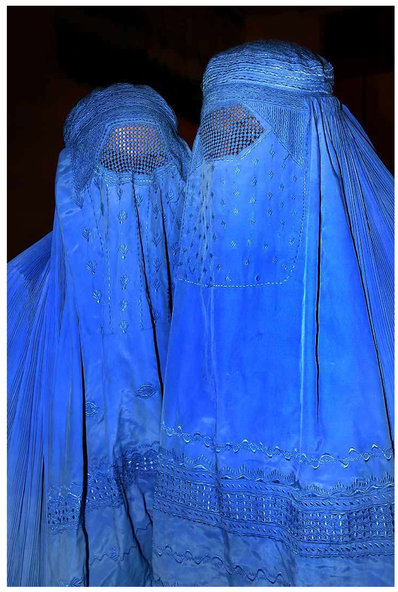 Preprints 145215 g029