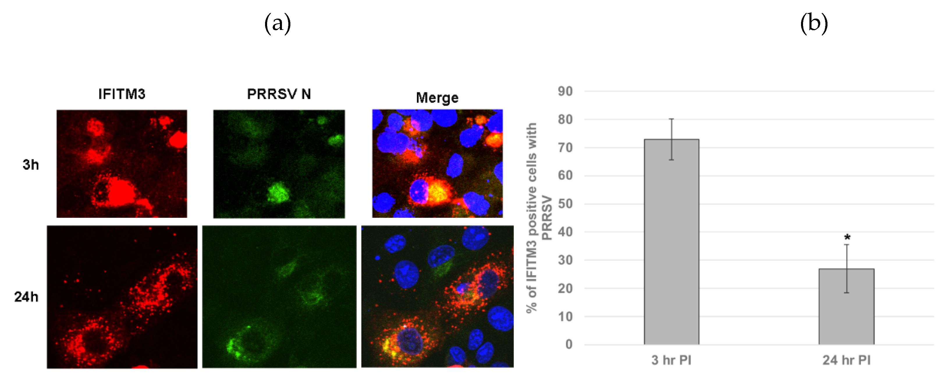 Preprints 162715 g006