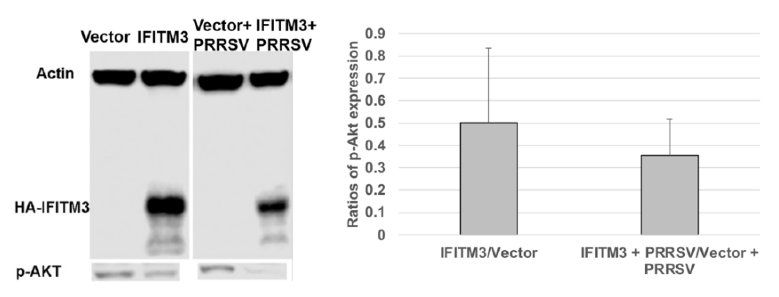 Preprints 162715 g007