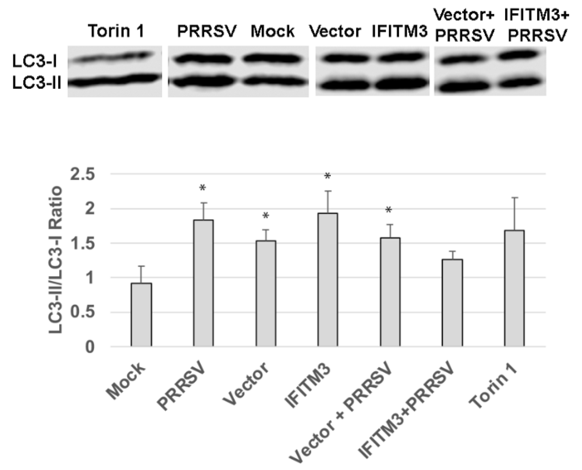 Preprints 162715 g008