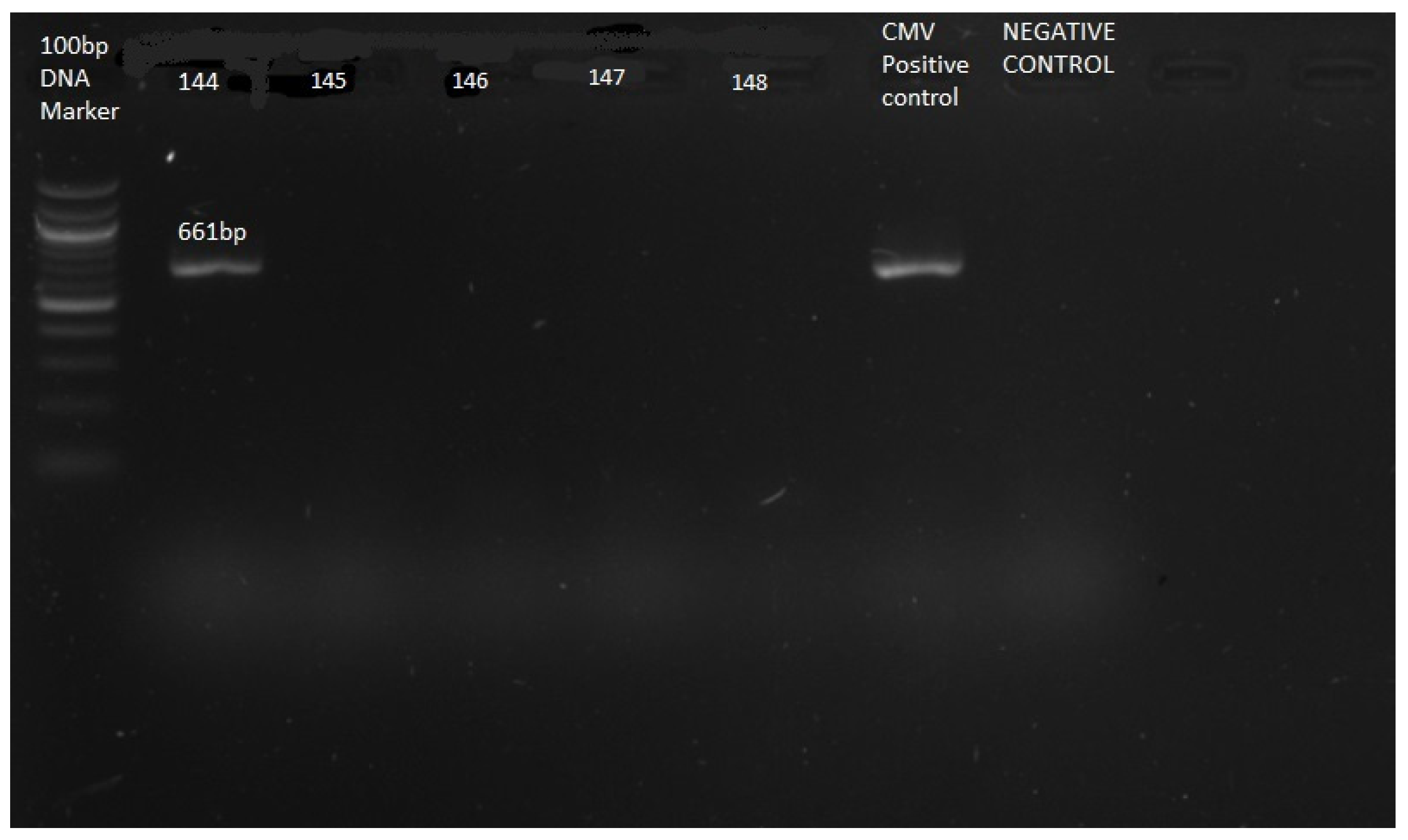Preprints 195469 g001
