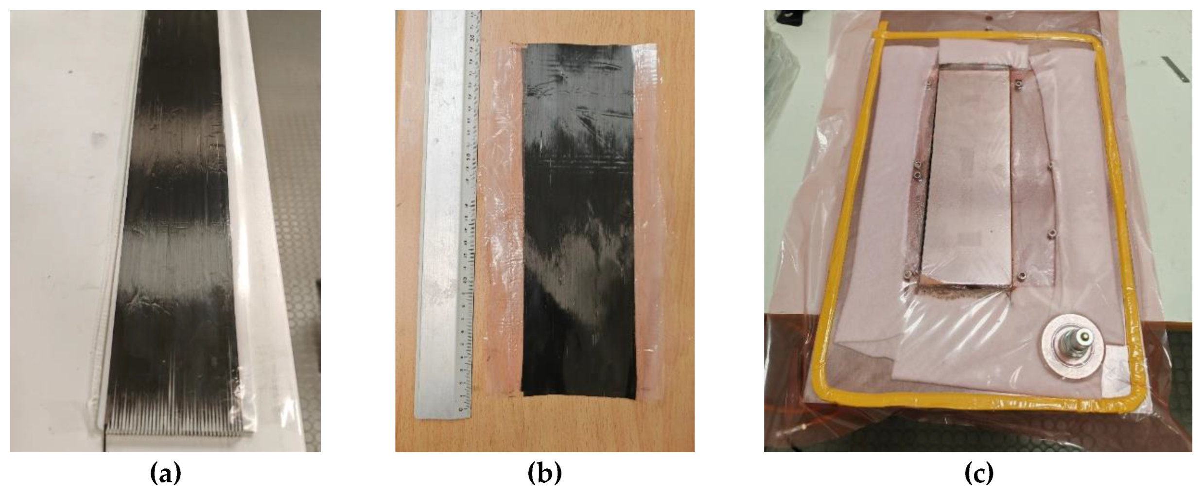 Preprints 189435 g003