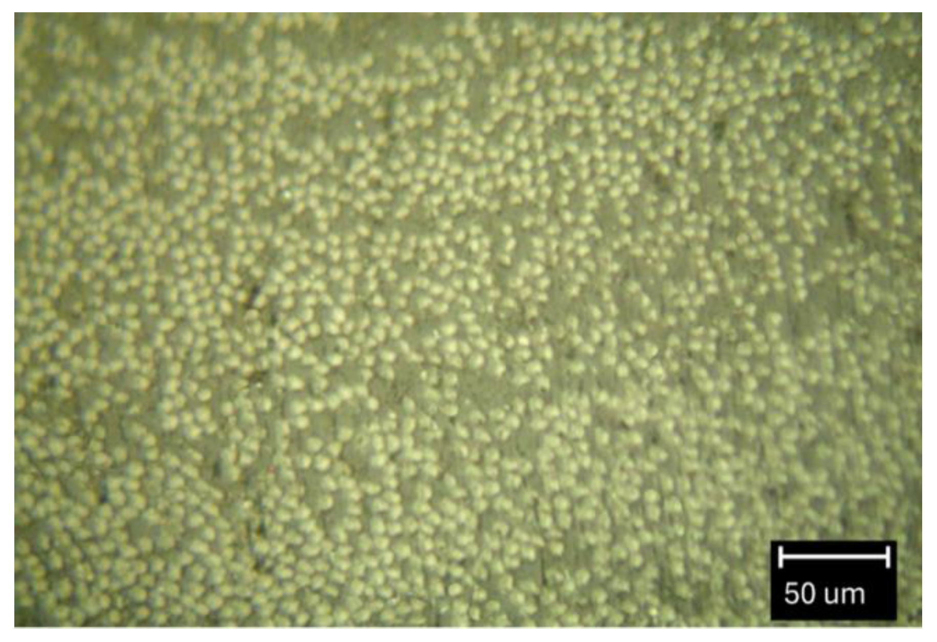 Preprints 189435 g004