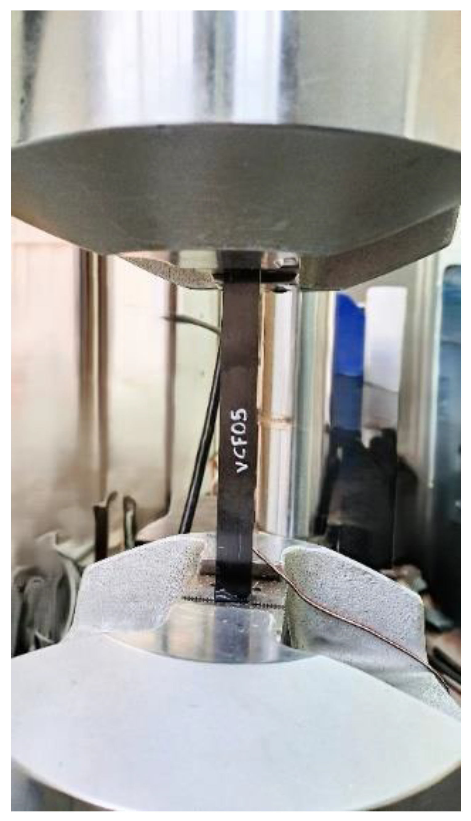 Preprints 189435 g006