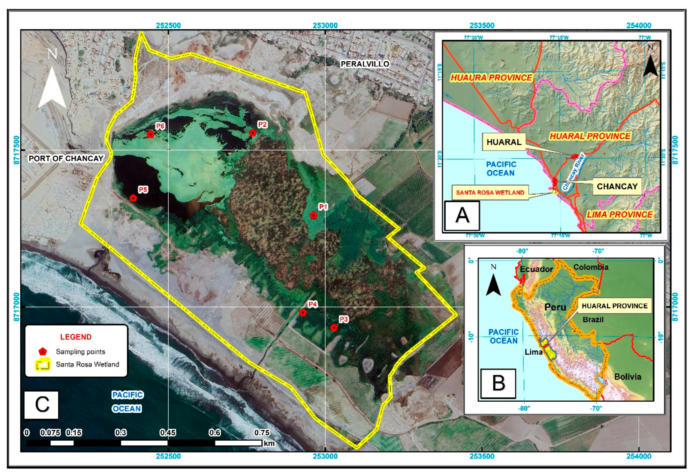 Preprints 201190 g001
