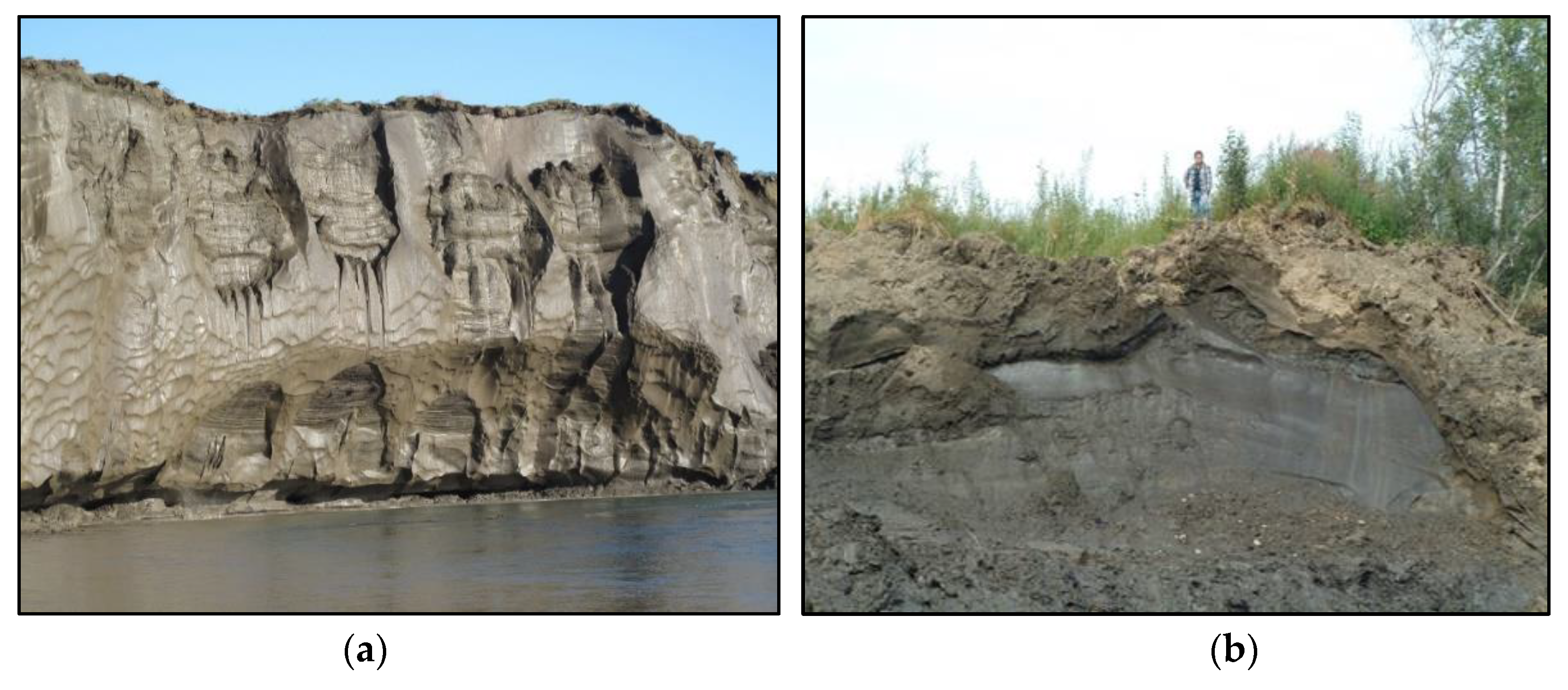 Preprints 105349 g001