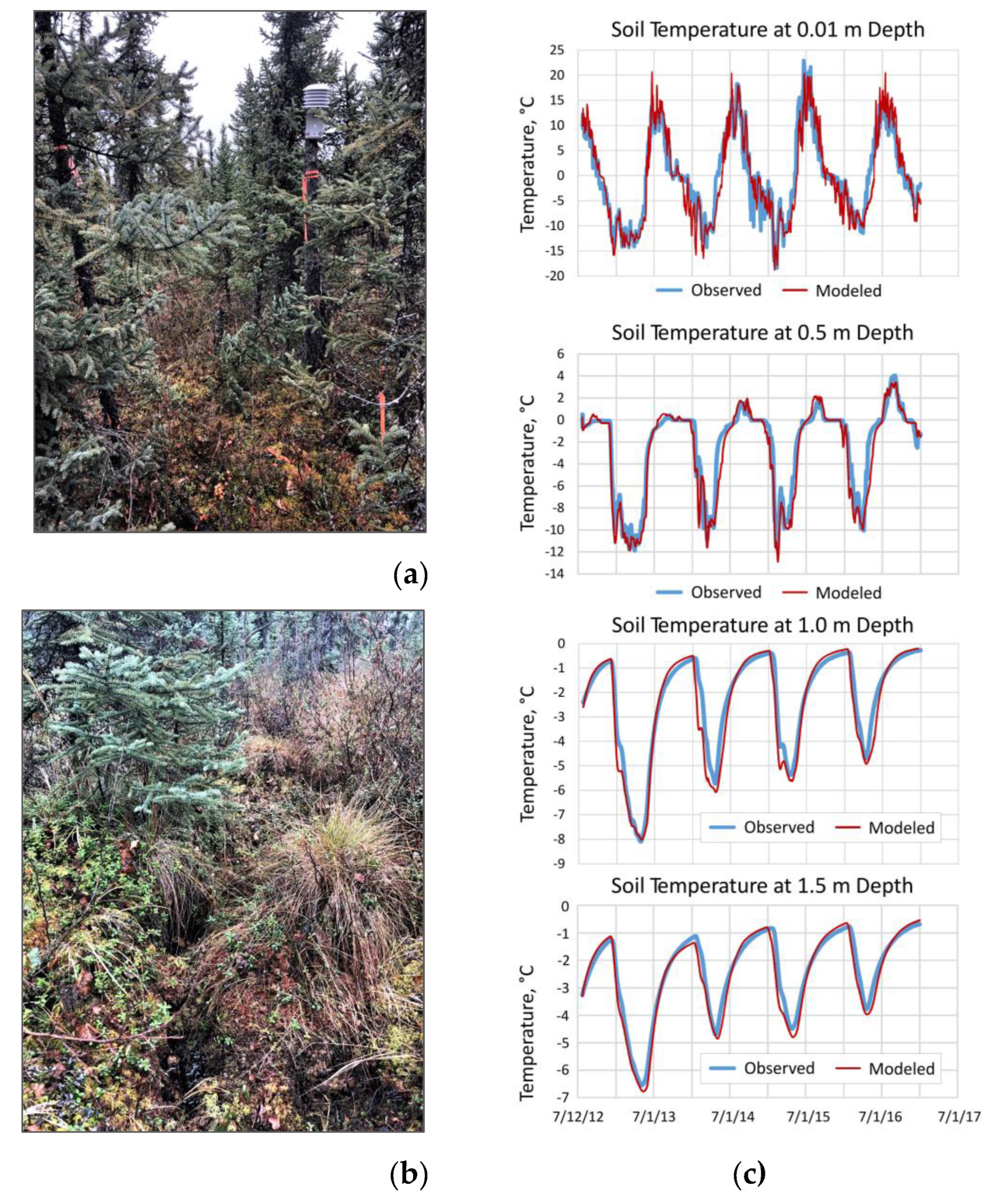 Preprints 105349 g009