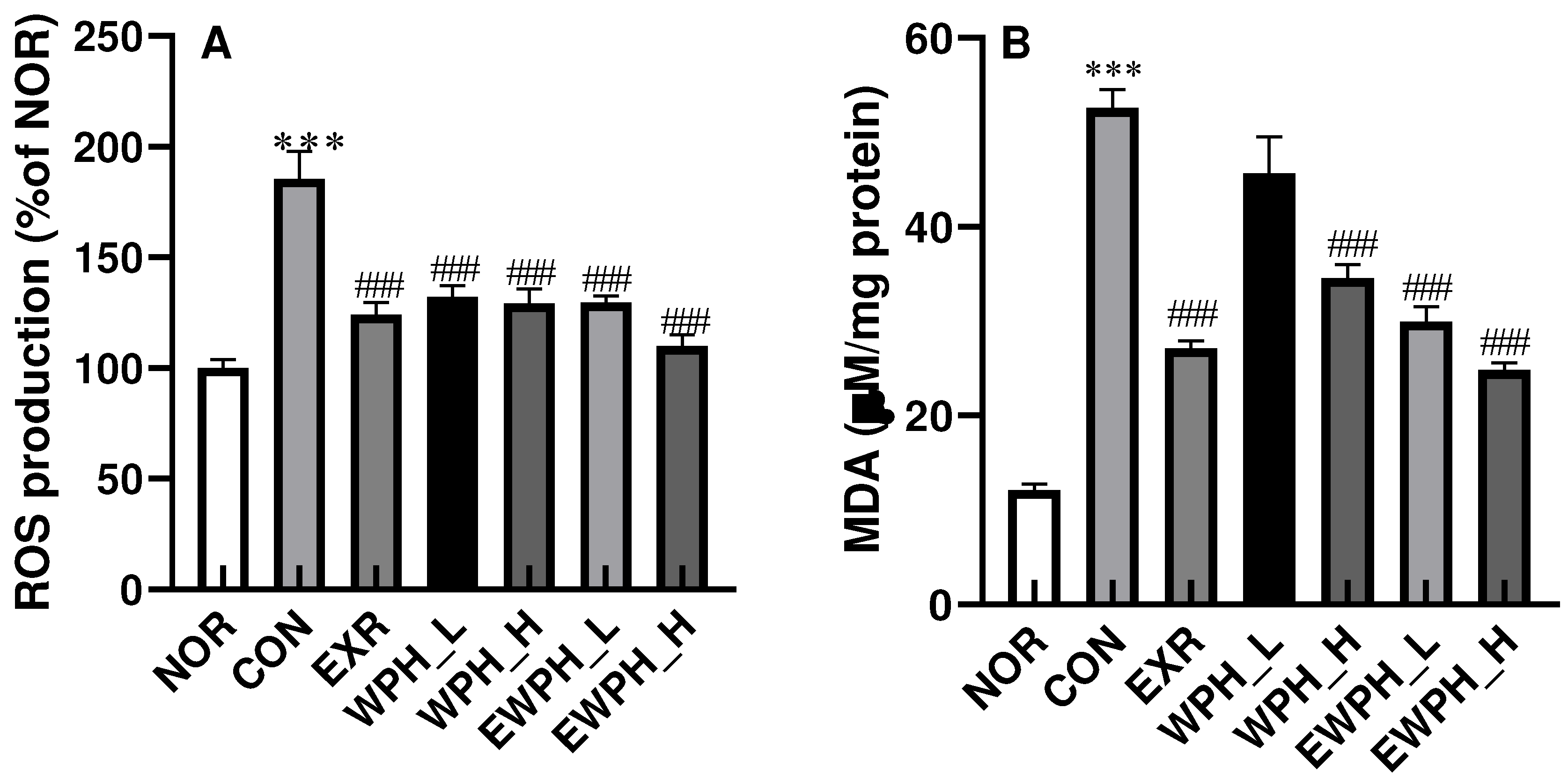 Preprints 90369 g002