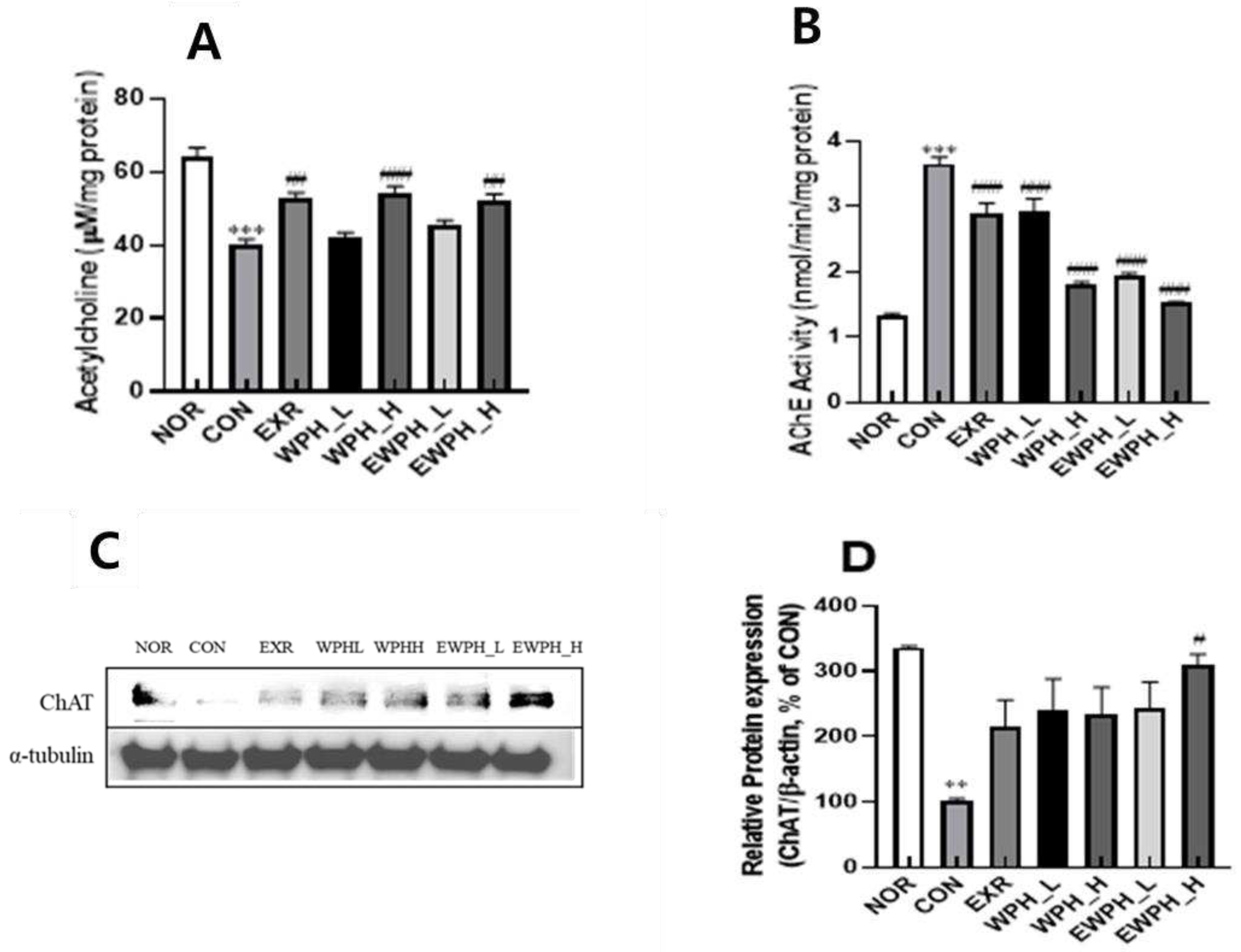 Preprints 90369 g003