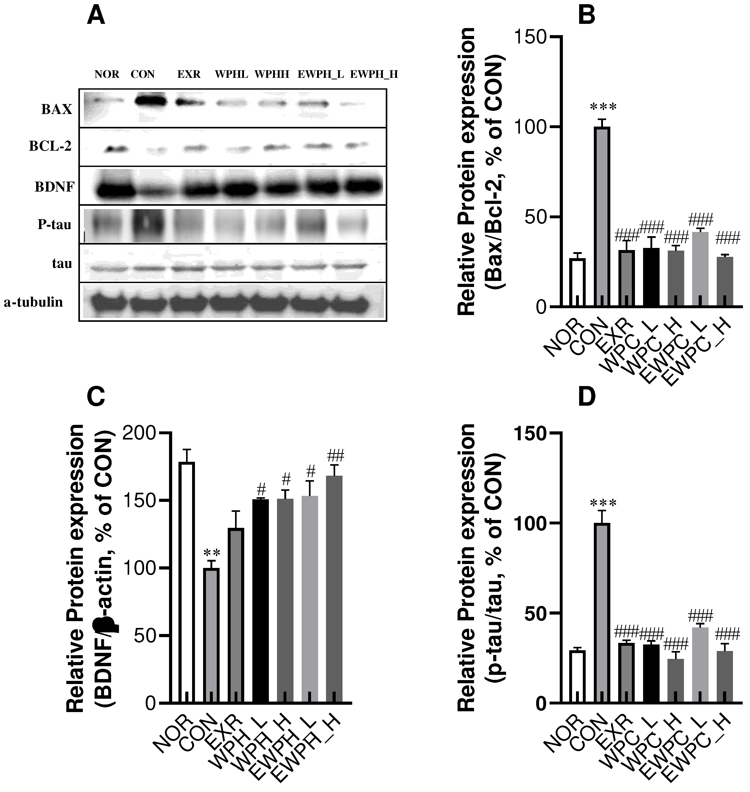 Preprints 90369 g004