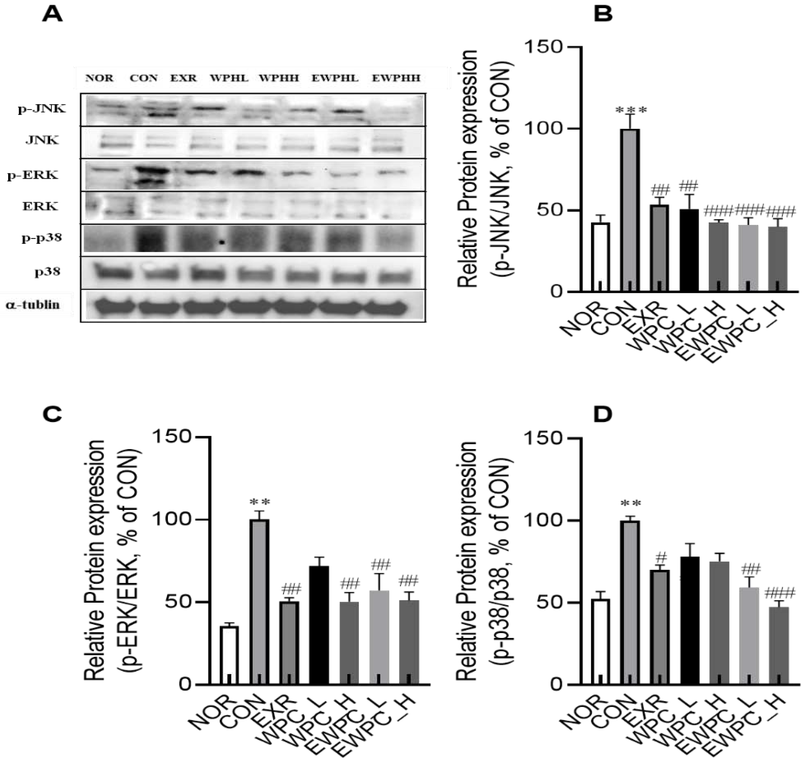 Preprints 90369 g005