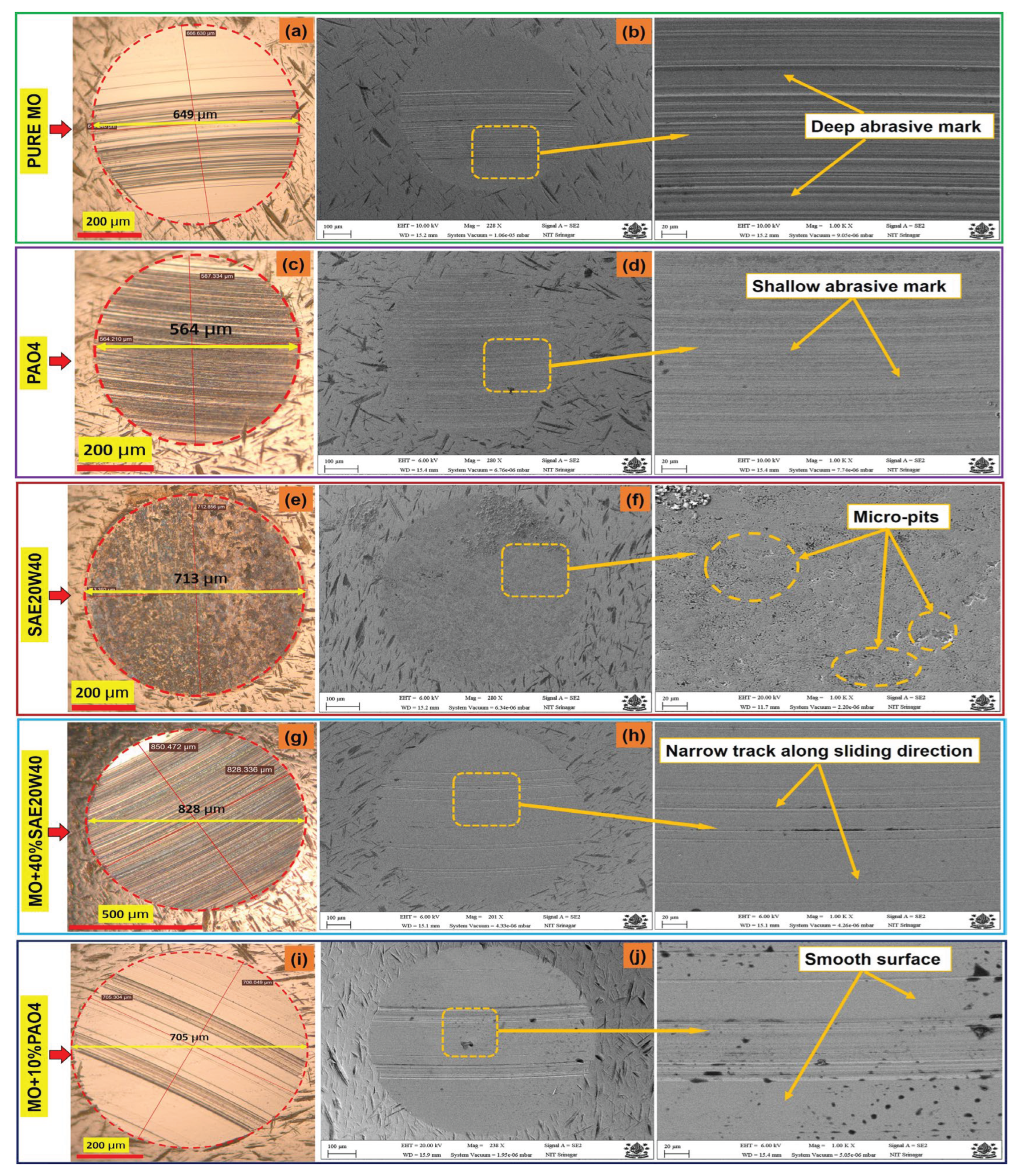 Preprints 163266 g009