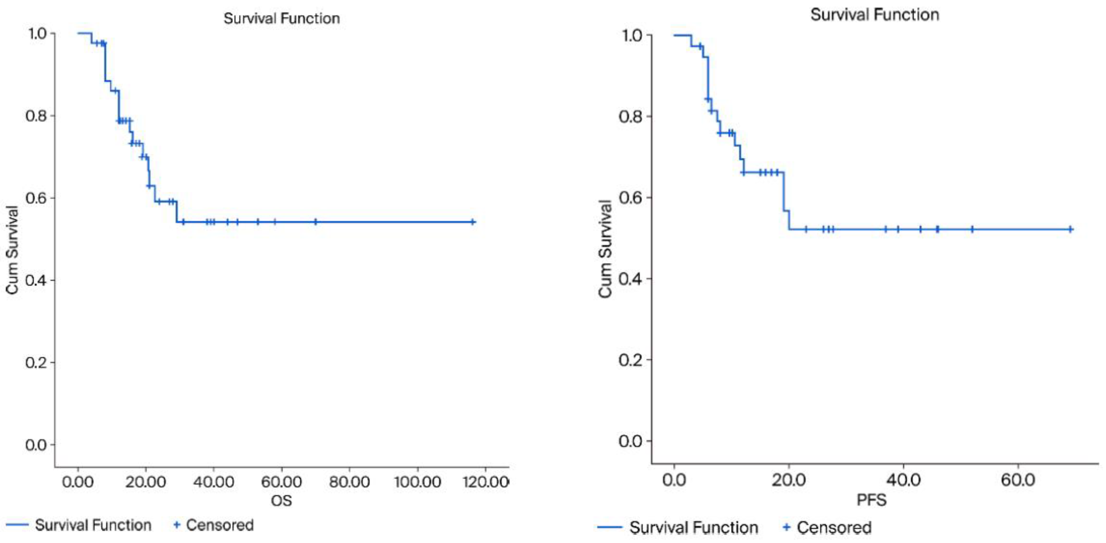 Preprints 210238 g001