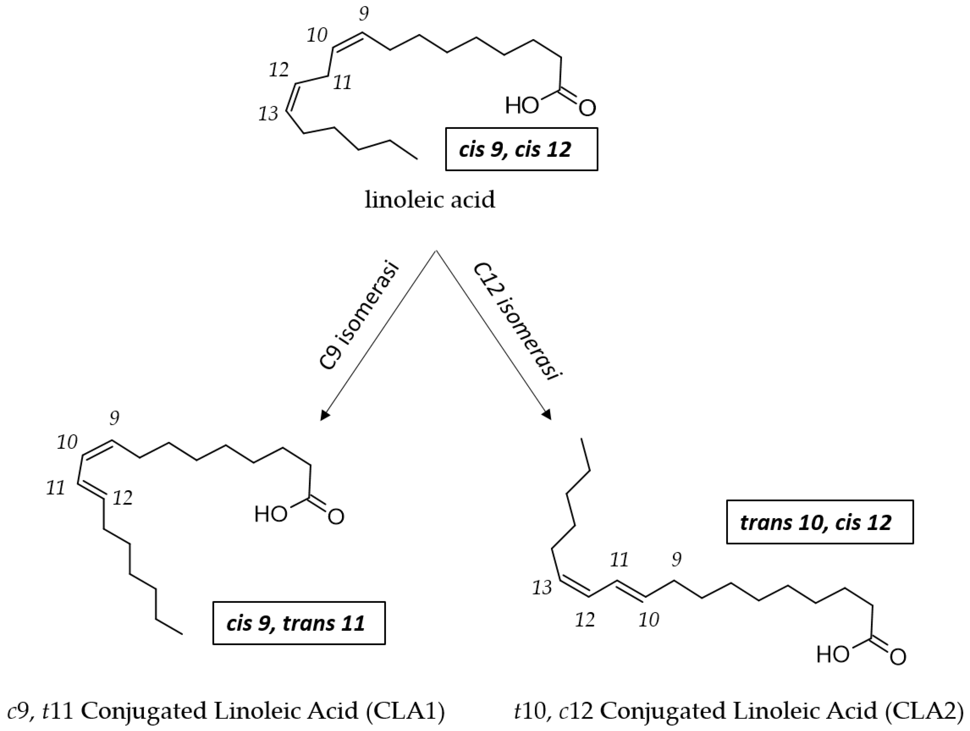 Preprints 99391 g003