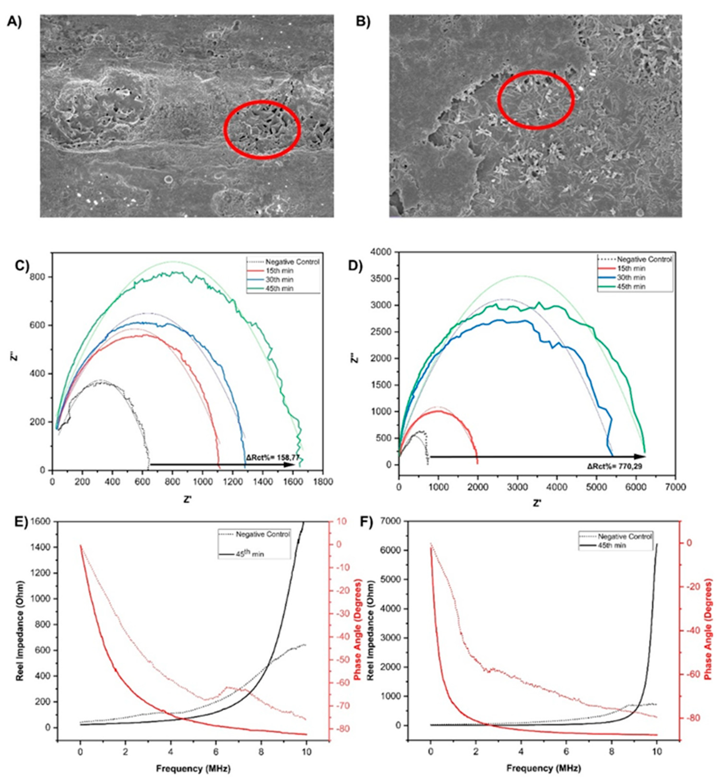 Preprints 189283 g002