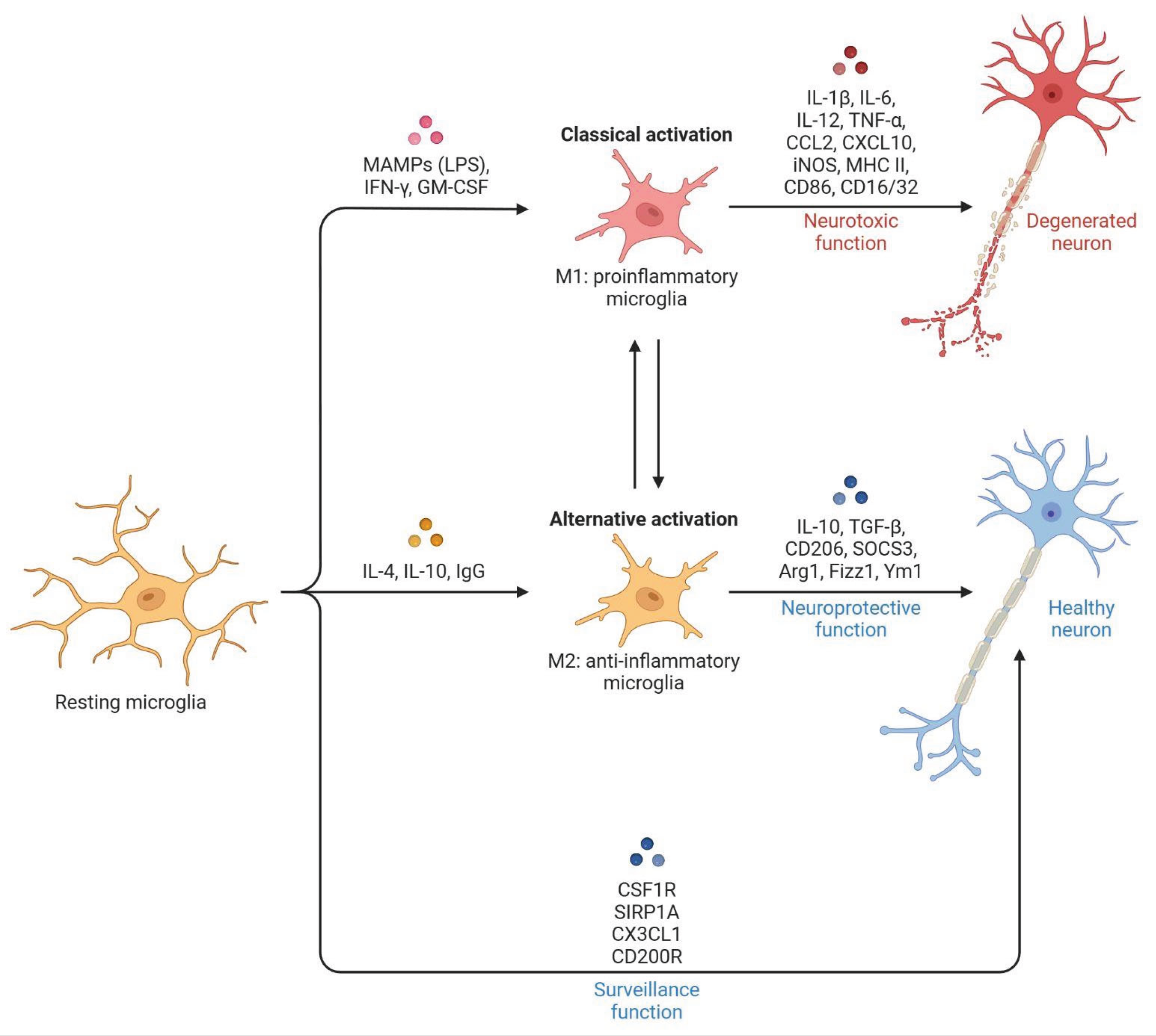 Preprints 193247 g001