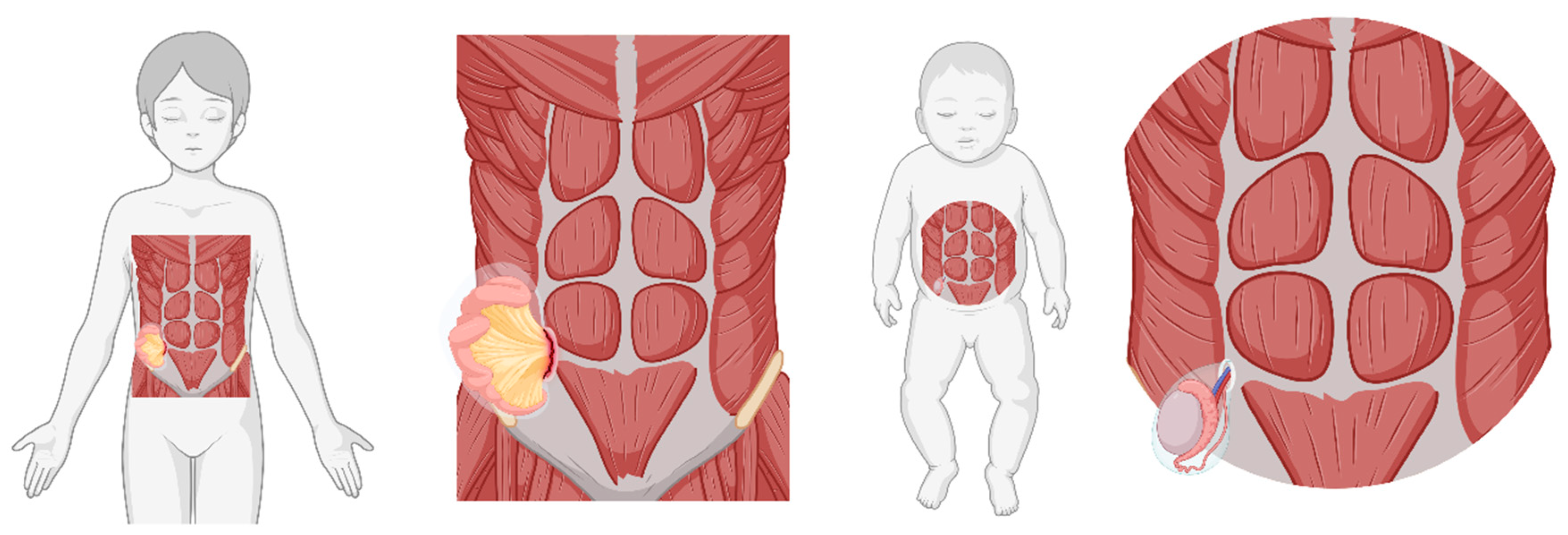 Preprints 147217 g001