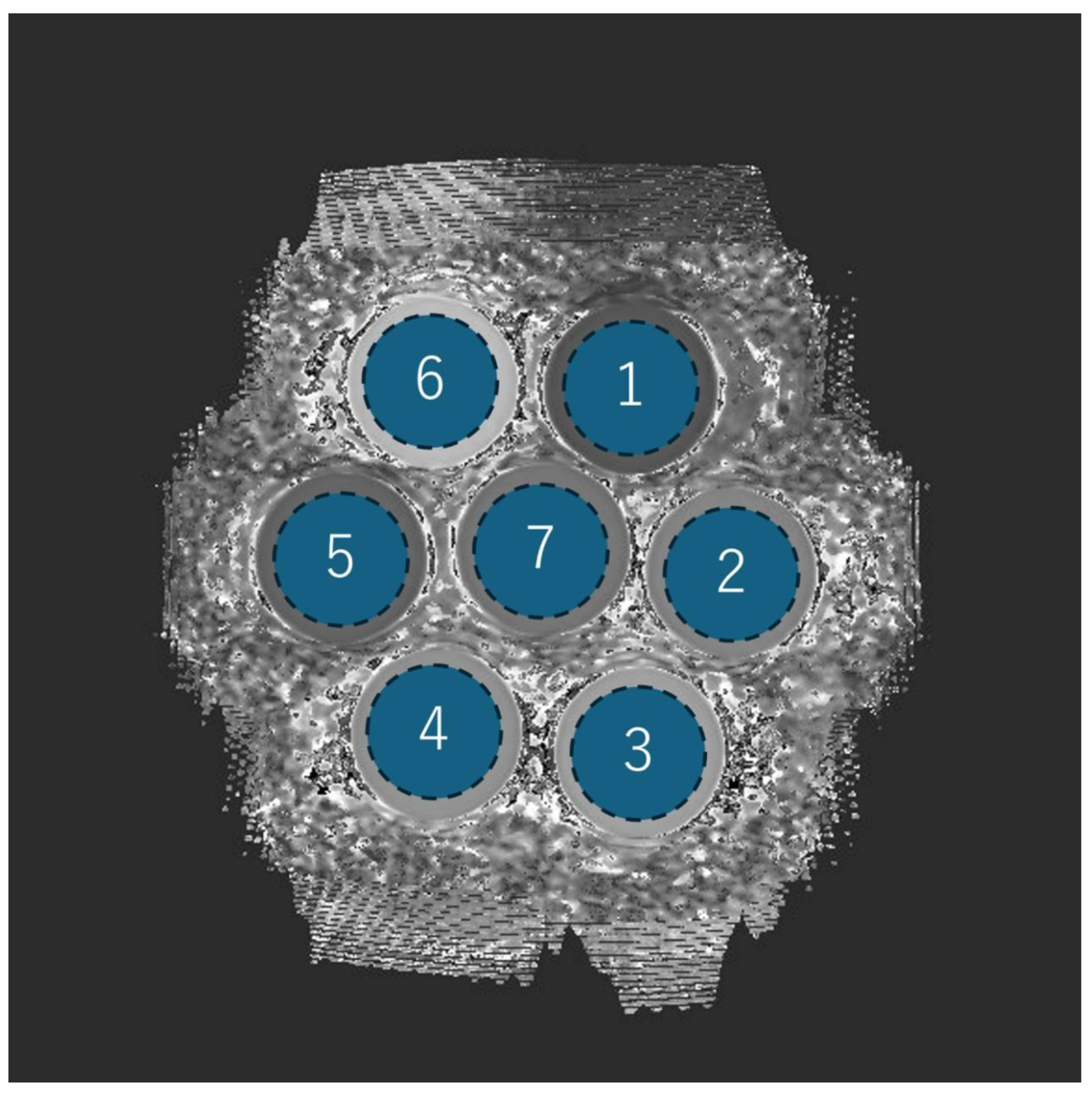 Preprints 156283 g002