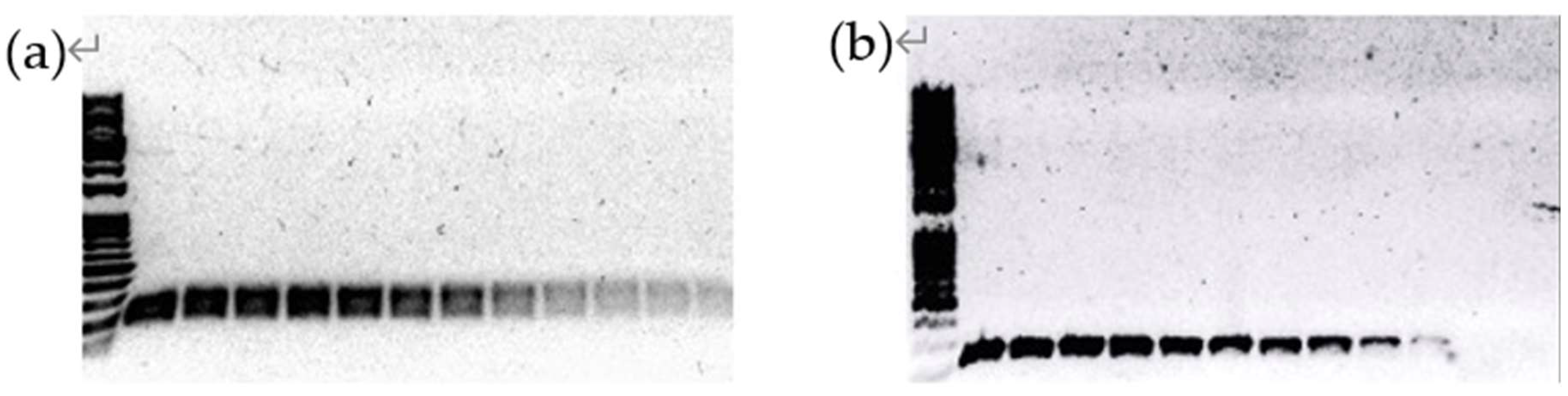Preprints 96899 g002