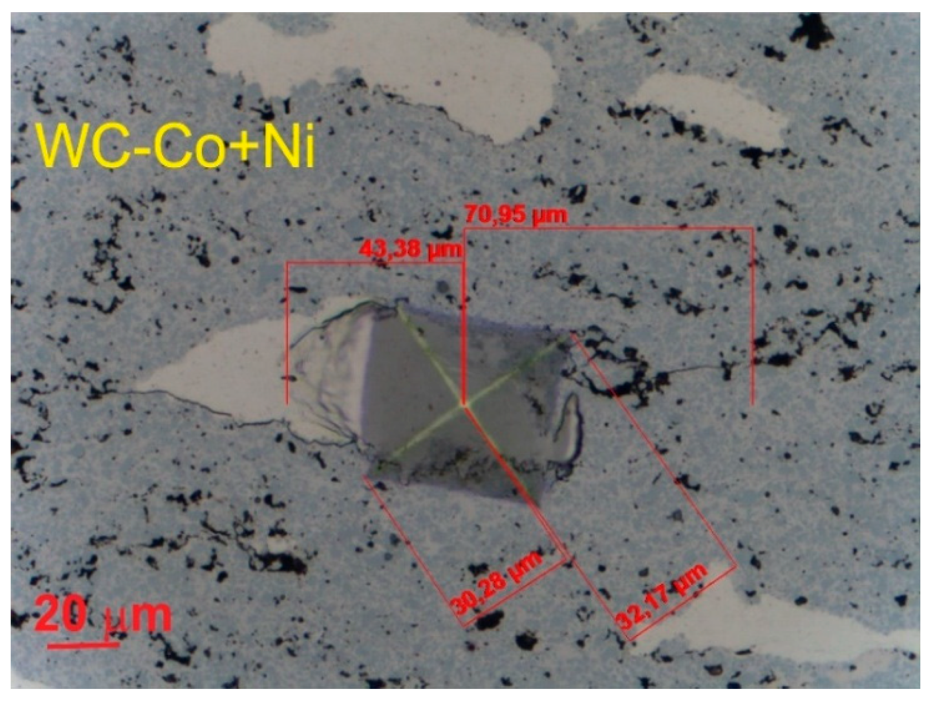 Preprints 206214 g003