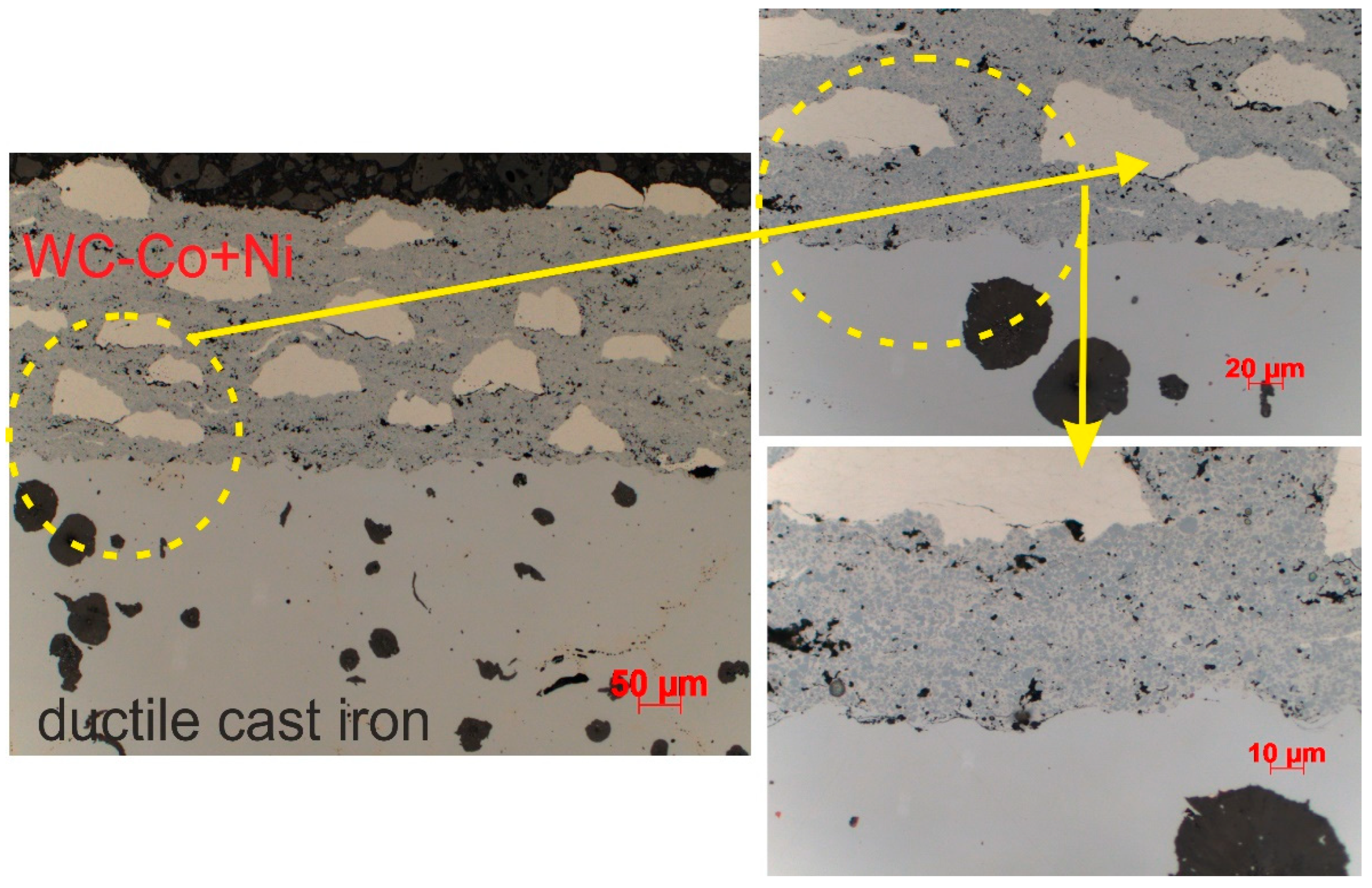 Preprints 206214 g005