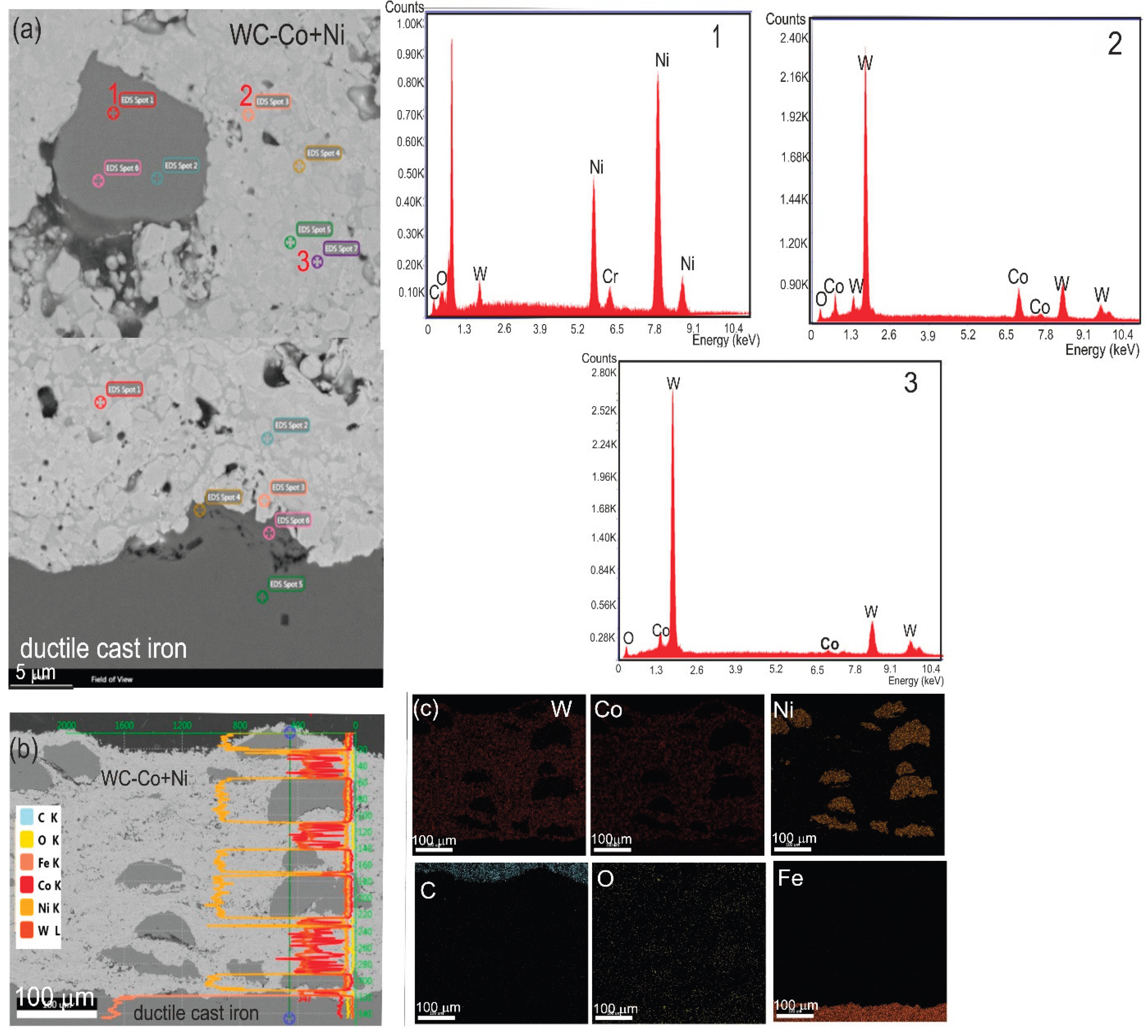 Preprints 206214 g006