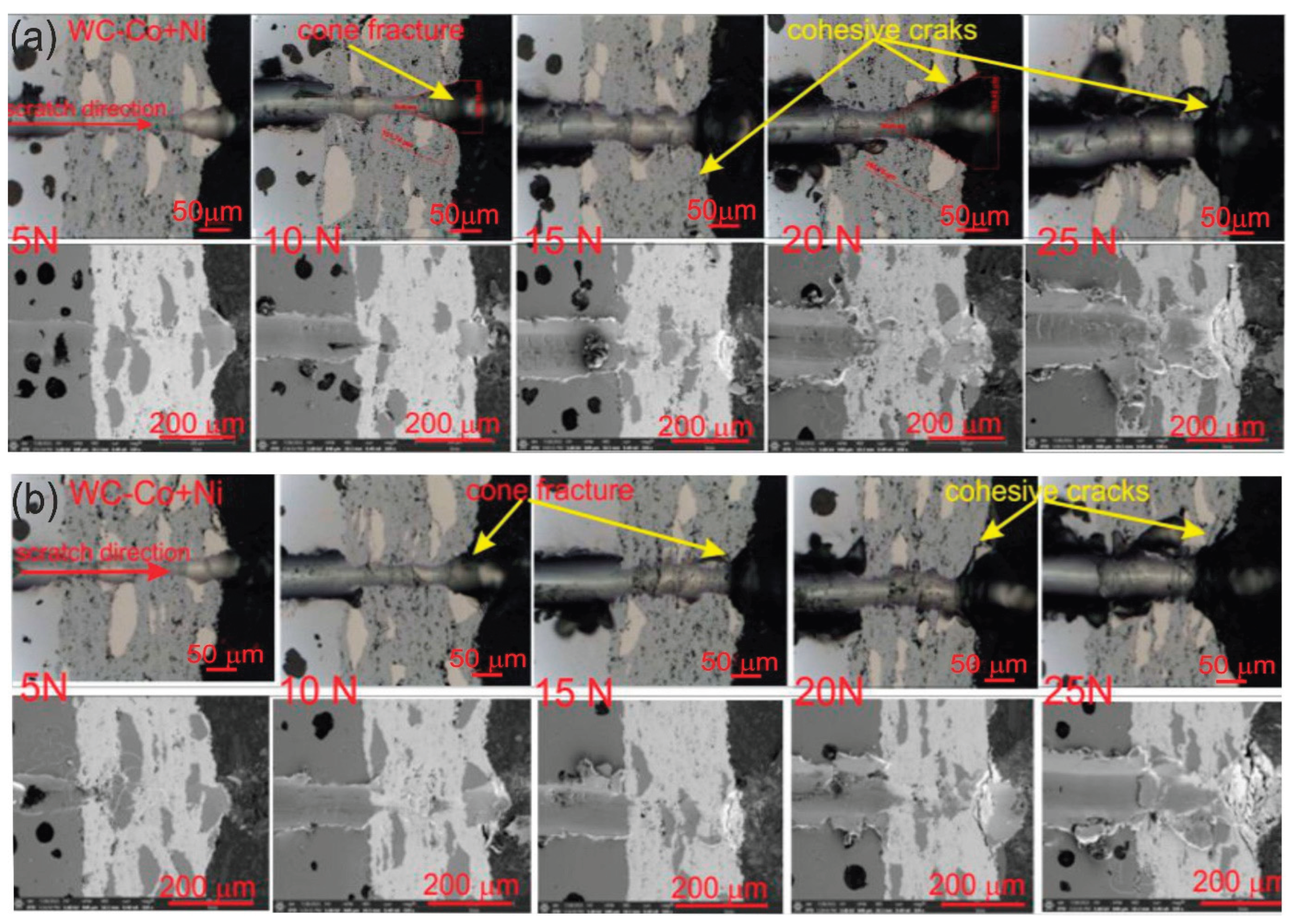 Preprints 206214 g012
