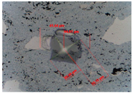 Preprints 206214 i011