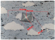 Preprints 206214 i012