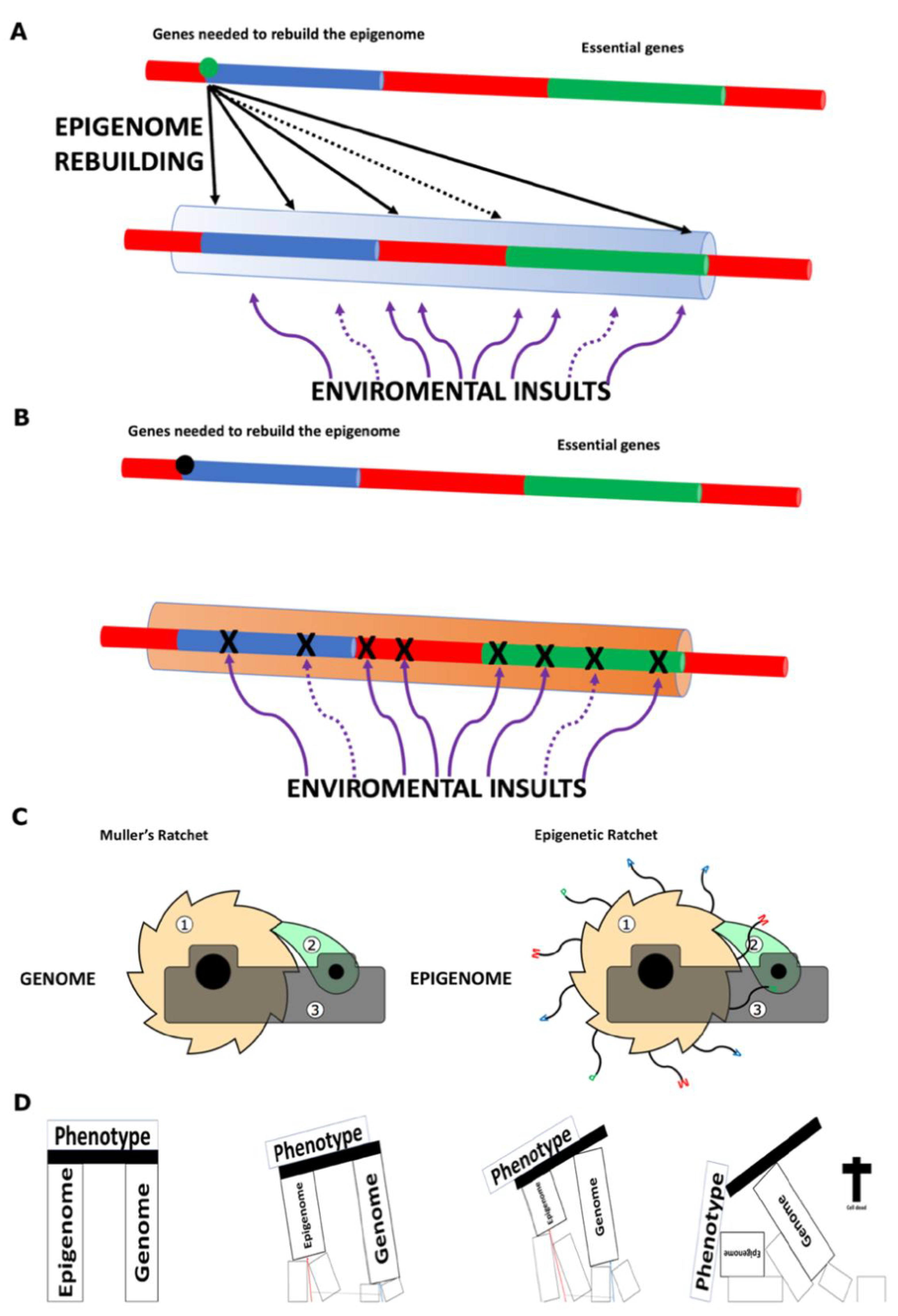 Preprints 171654 g002