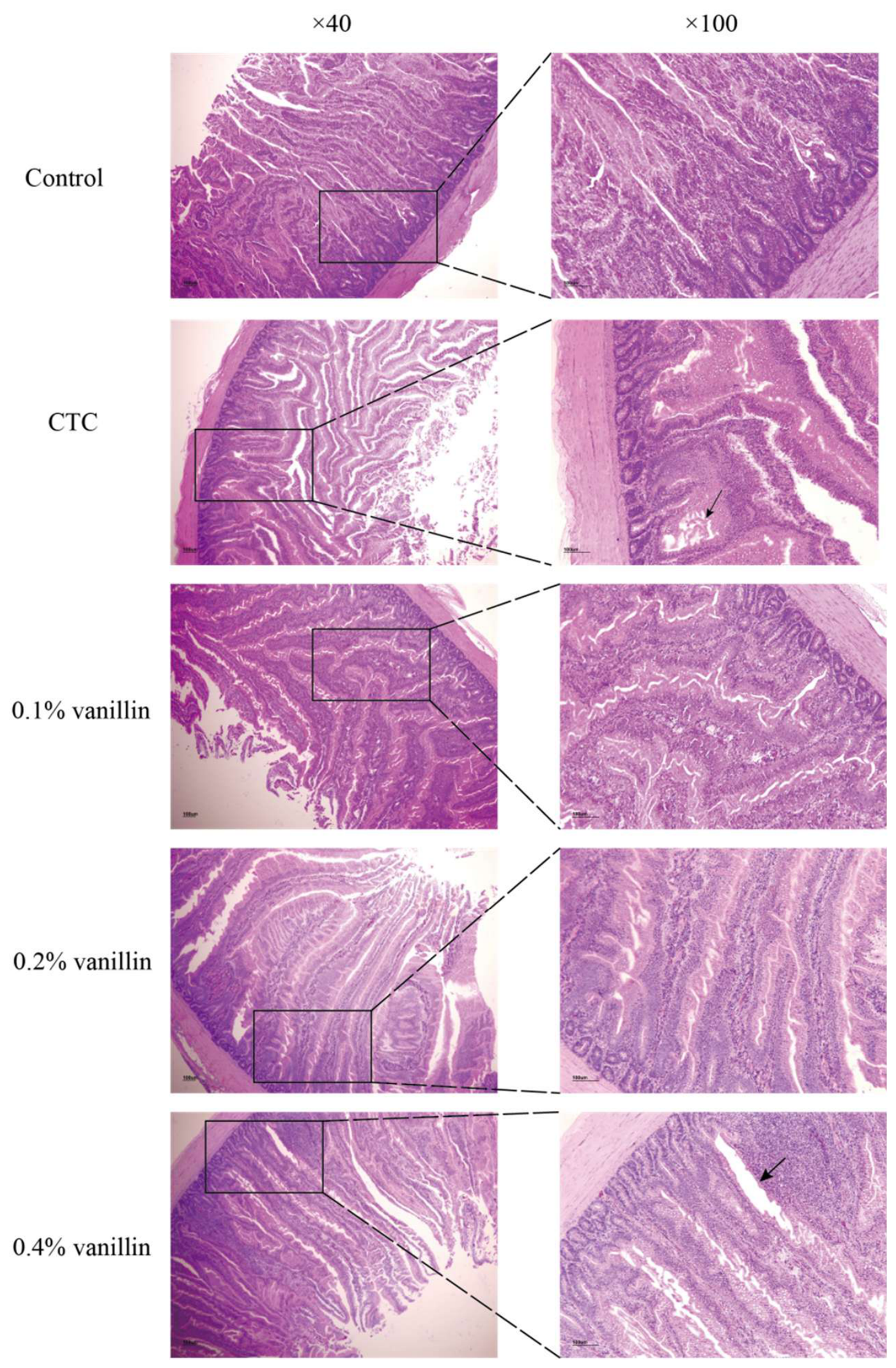 Preprints 220362 g004