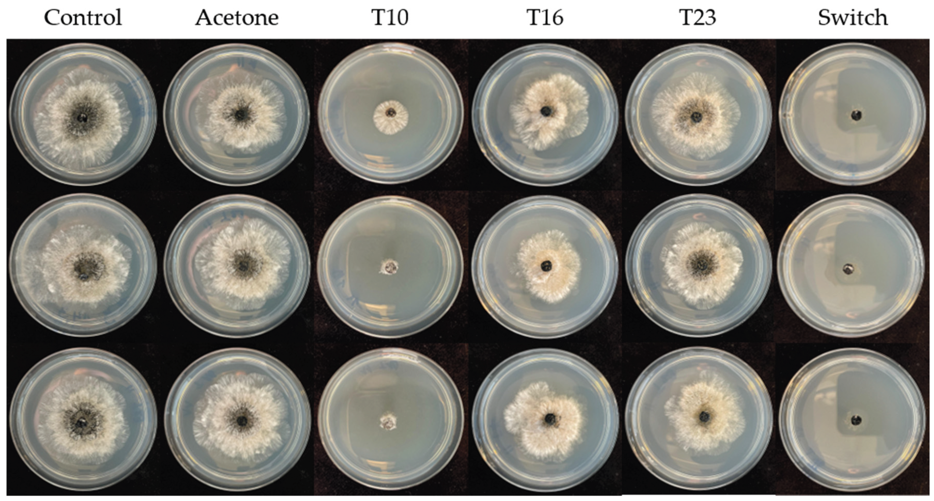 Preprints 197845 g0a1