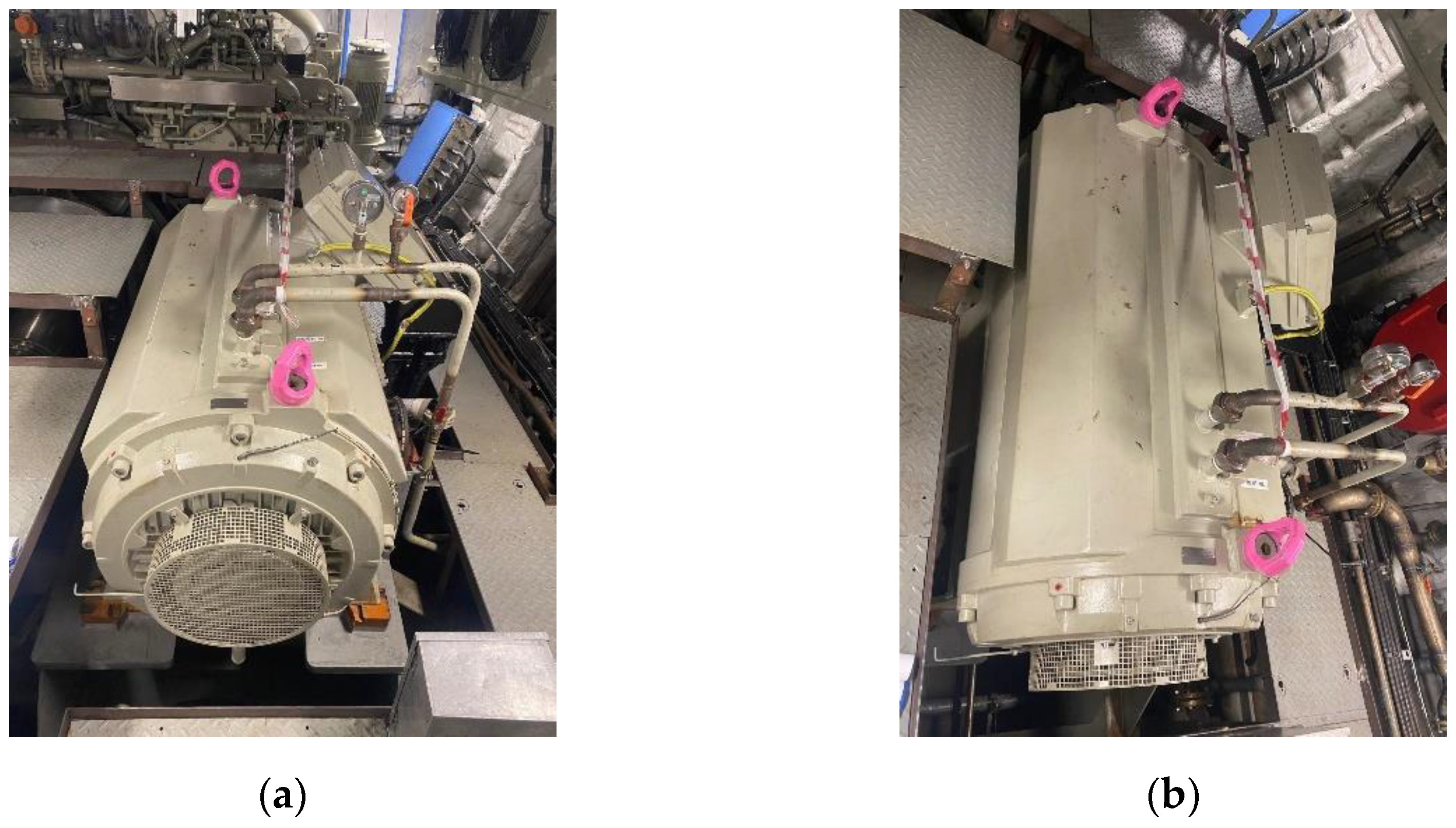 Preprints 159911 g001