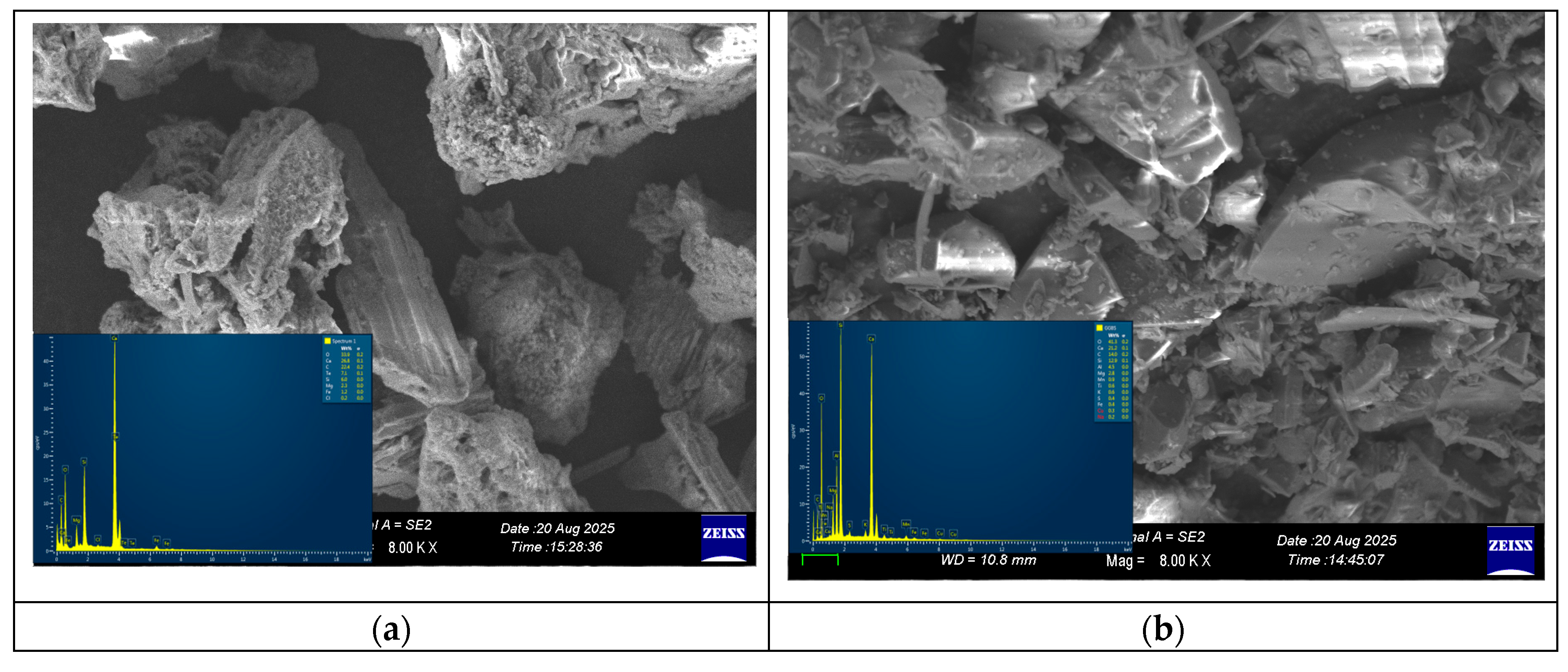 Preprints 188797 g001