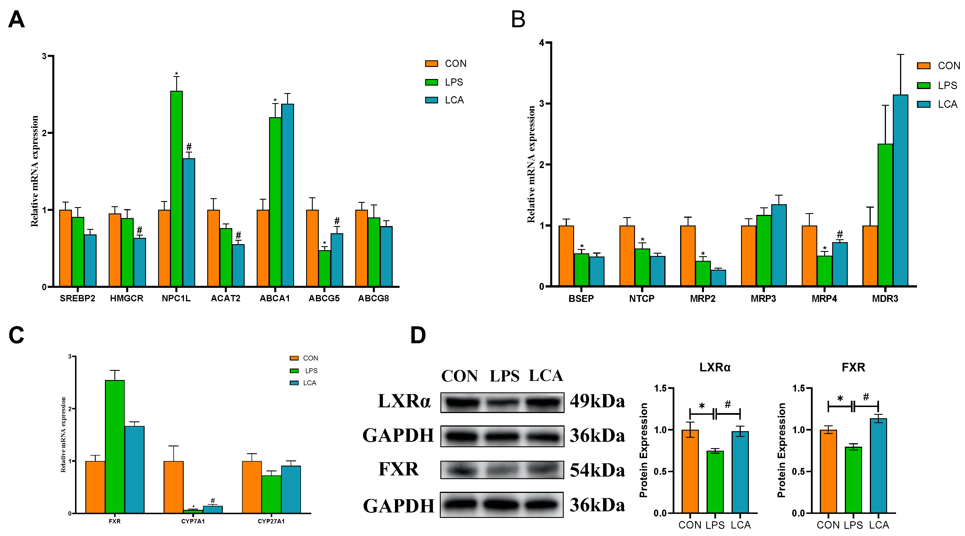 Preprints 193614 g002