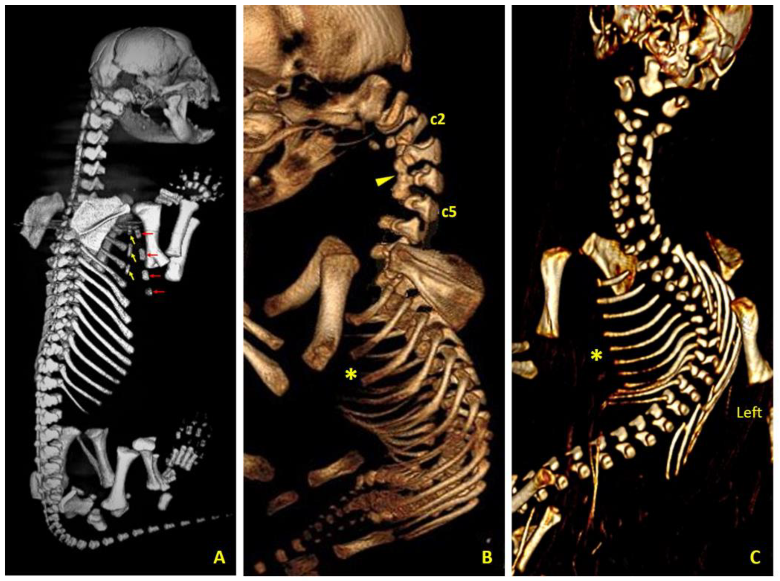 Preprints 182941 g003