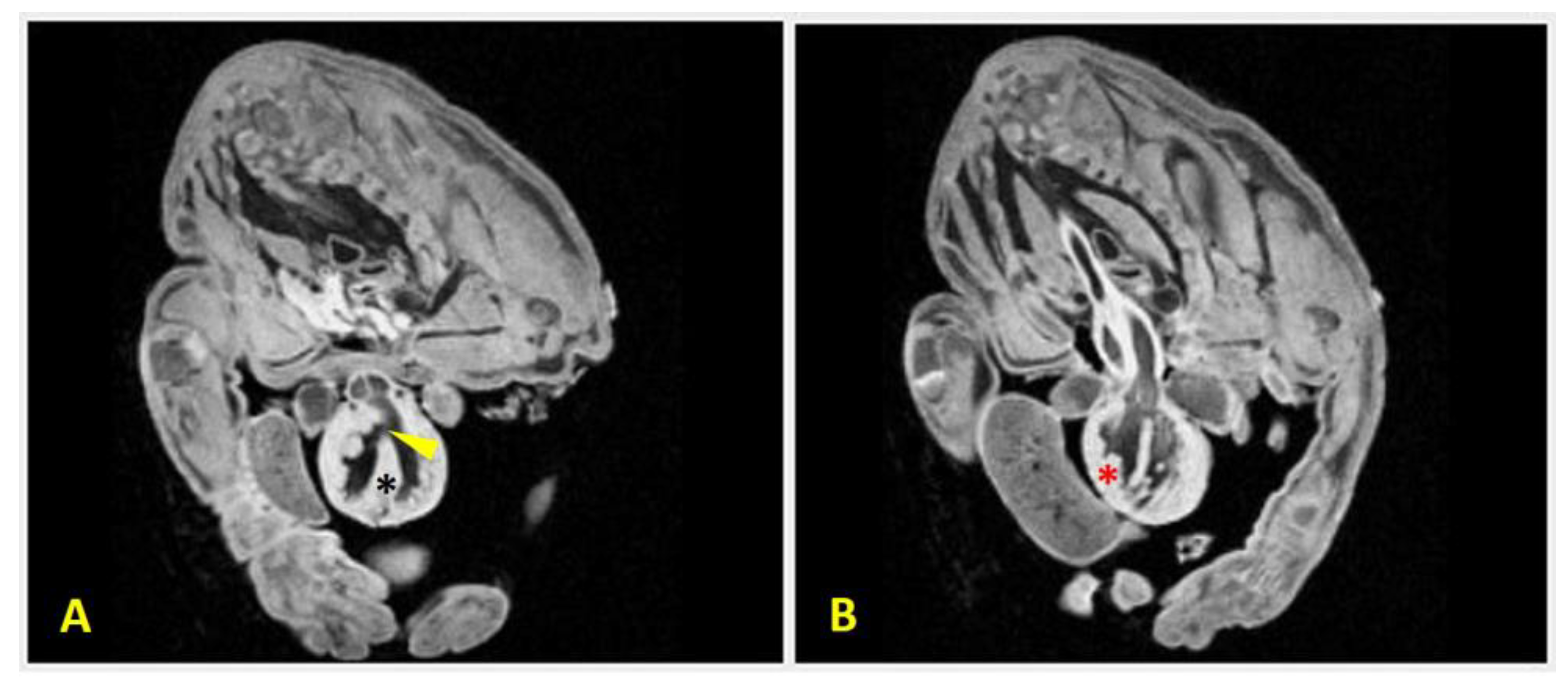 Preprints 182941 g008