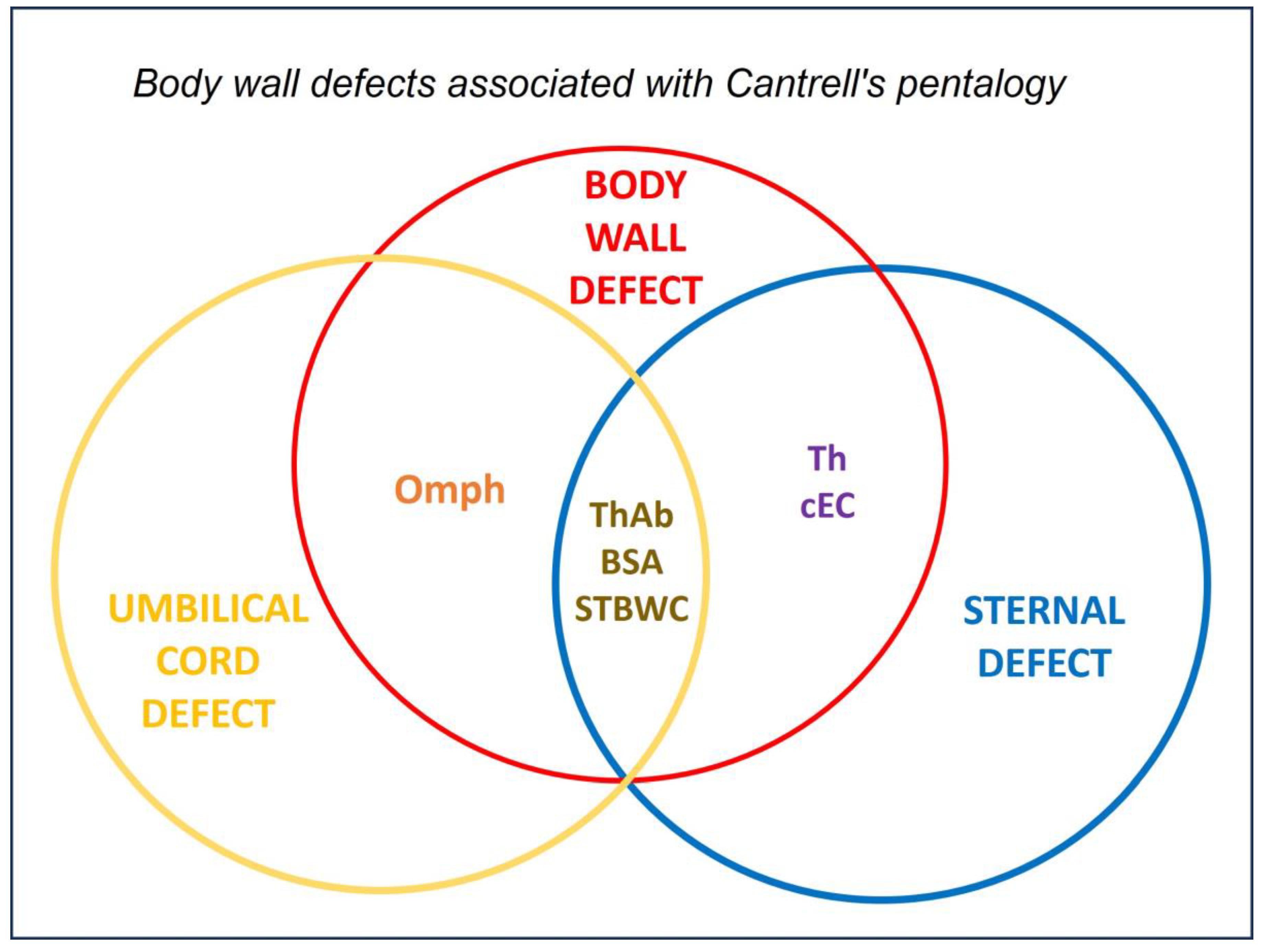 Preprints 182941 g009