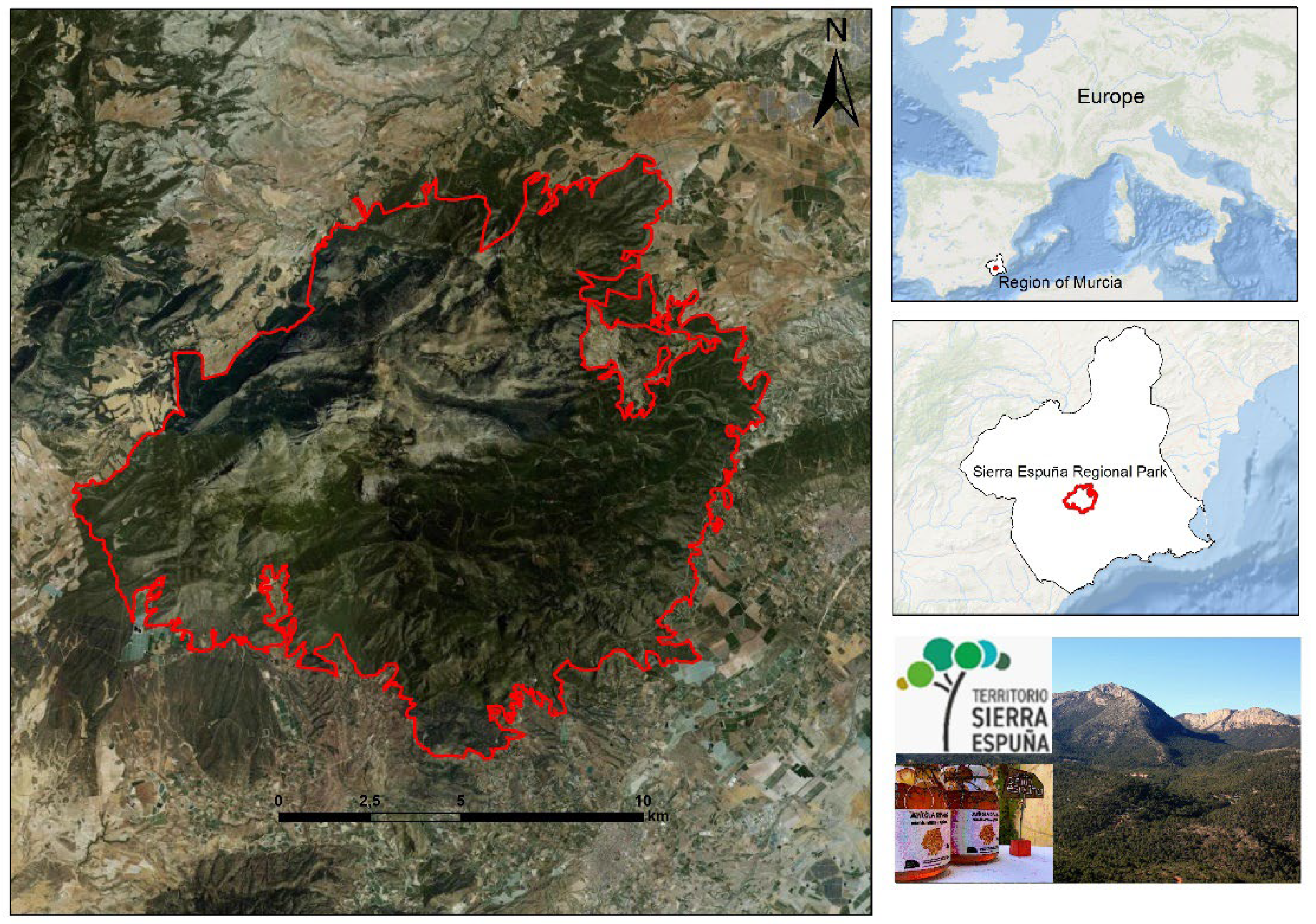 Preprints 141354 g002