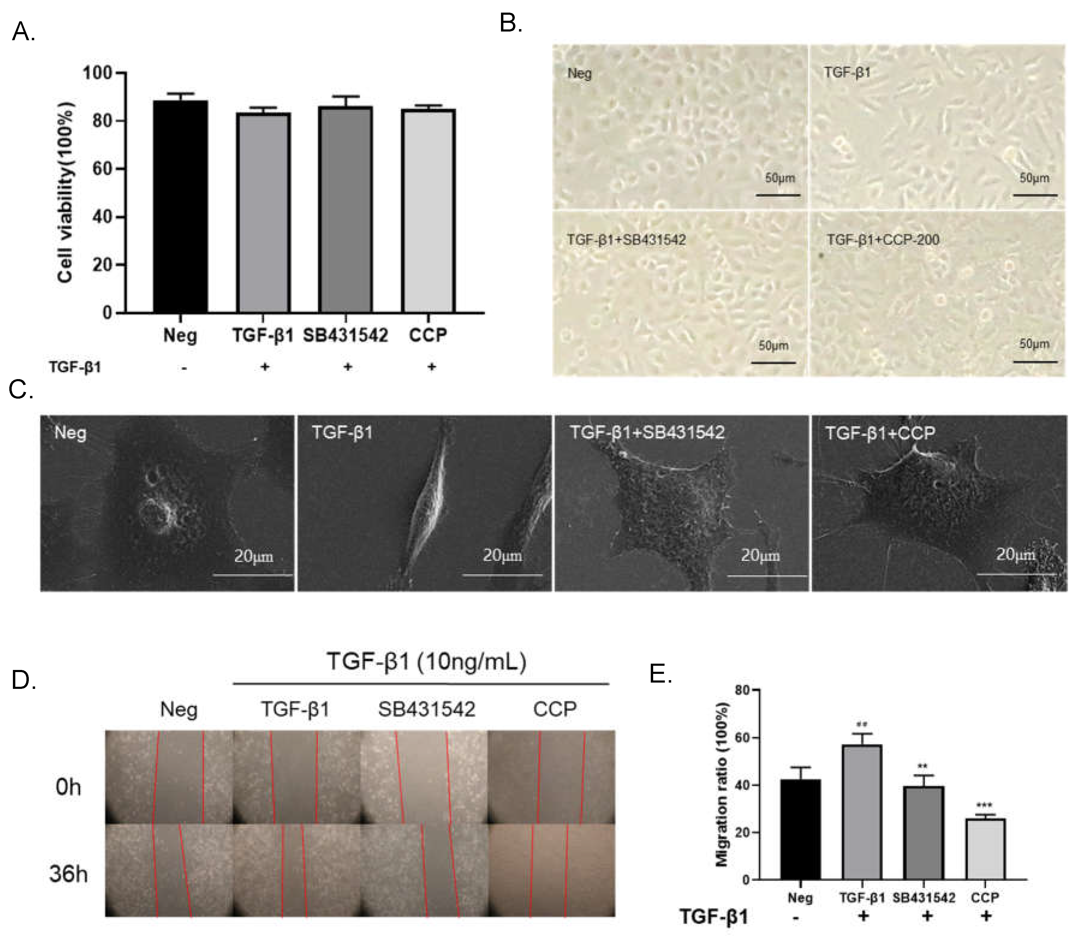 Preprints 73566 g003