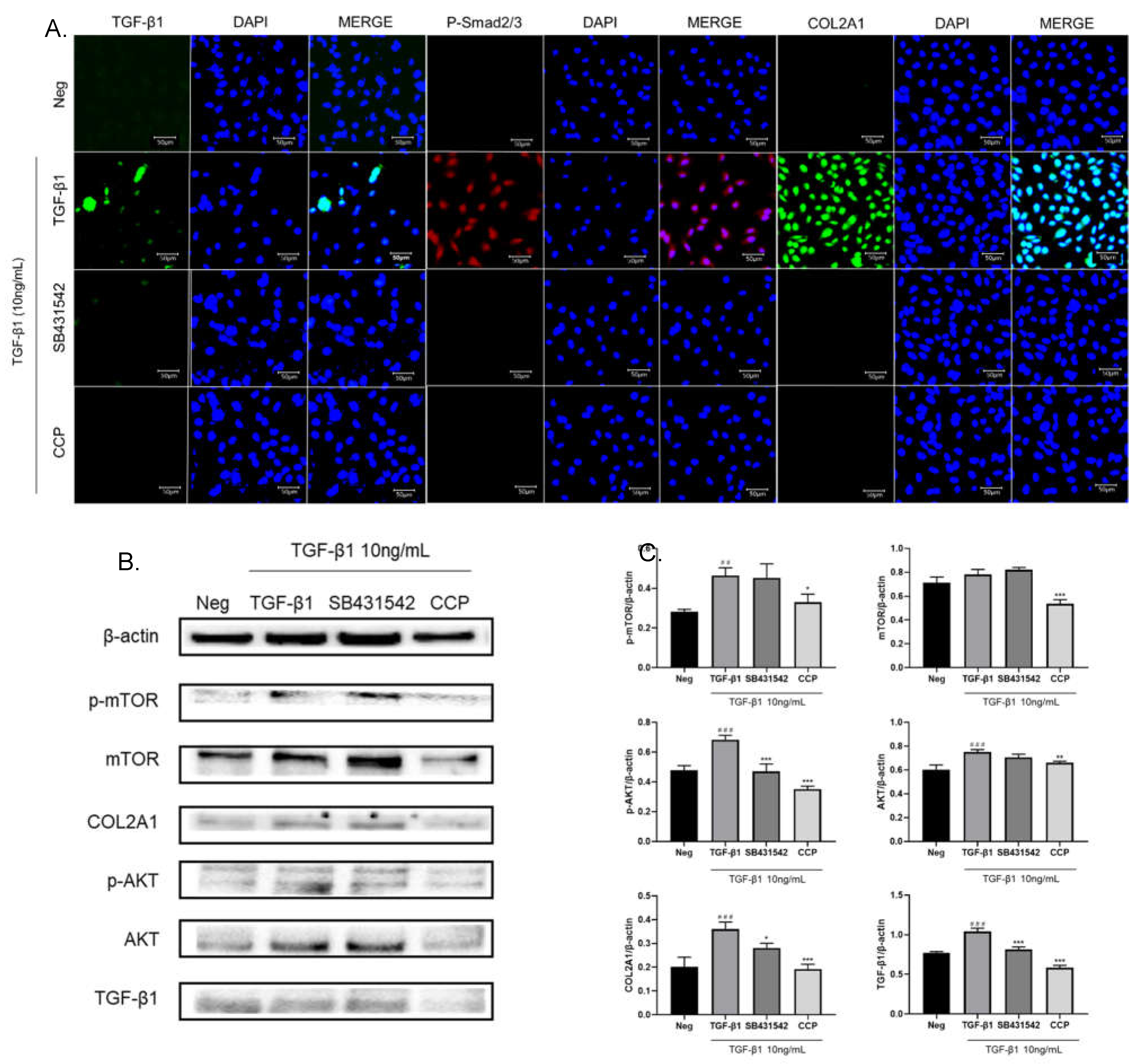 Preprints 73566 g004