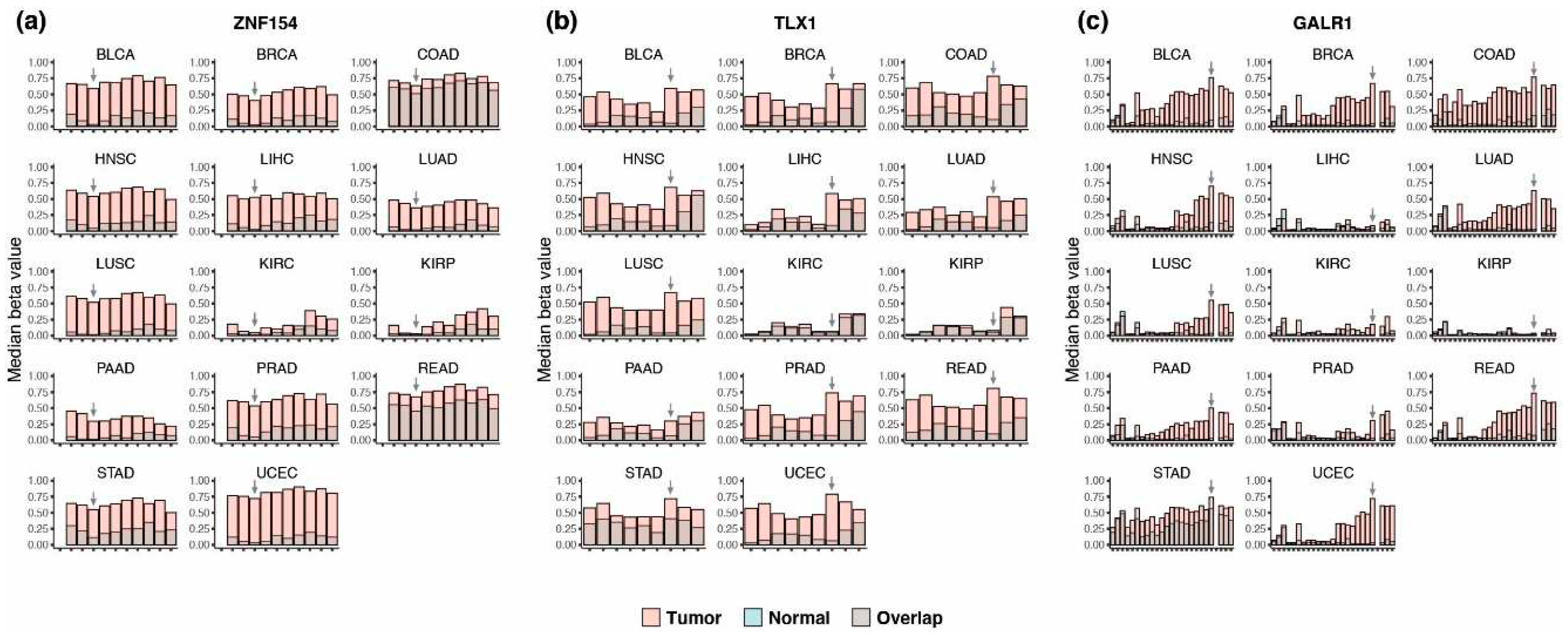 Preprints 83166 g001