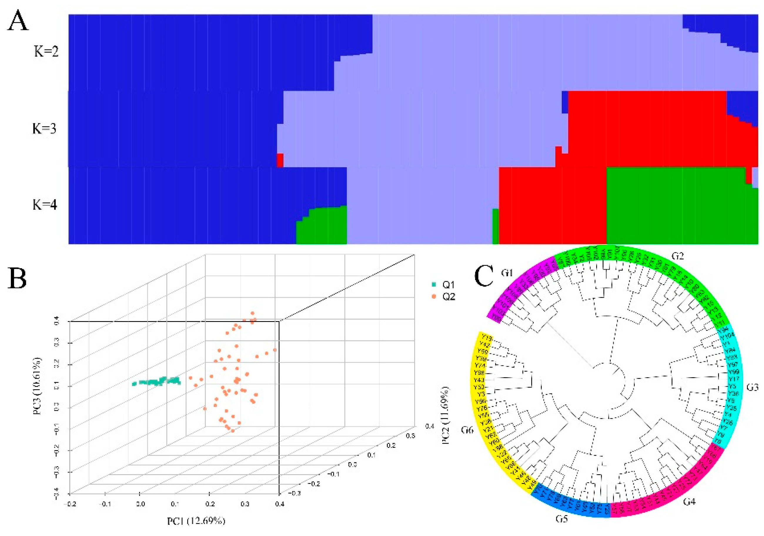 Preprints 198158 g002