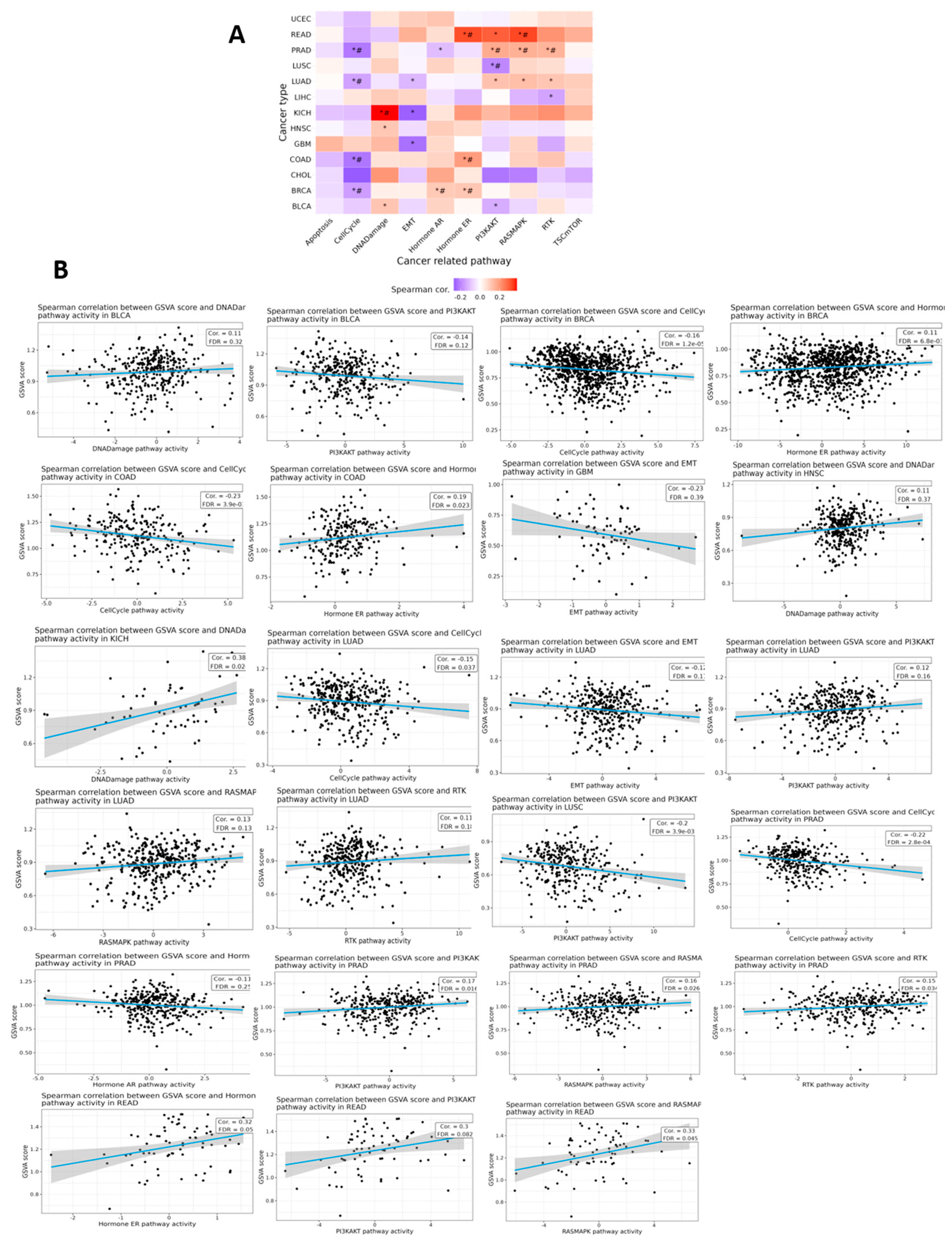 Preprints 228273 g010 Preprints 228273 g010