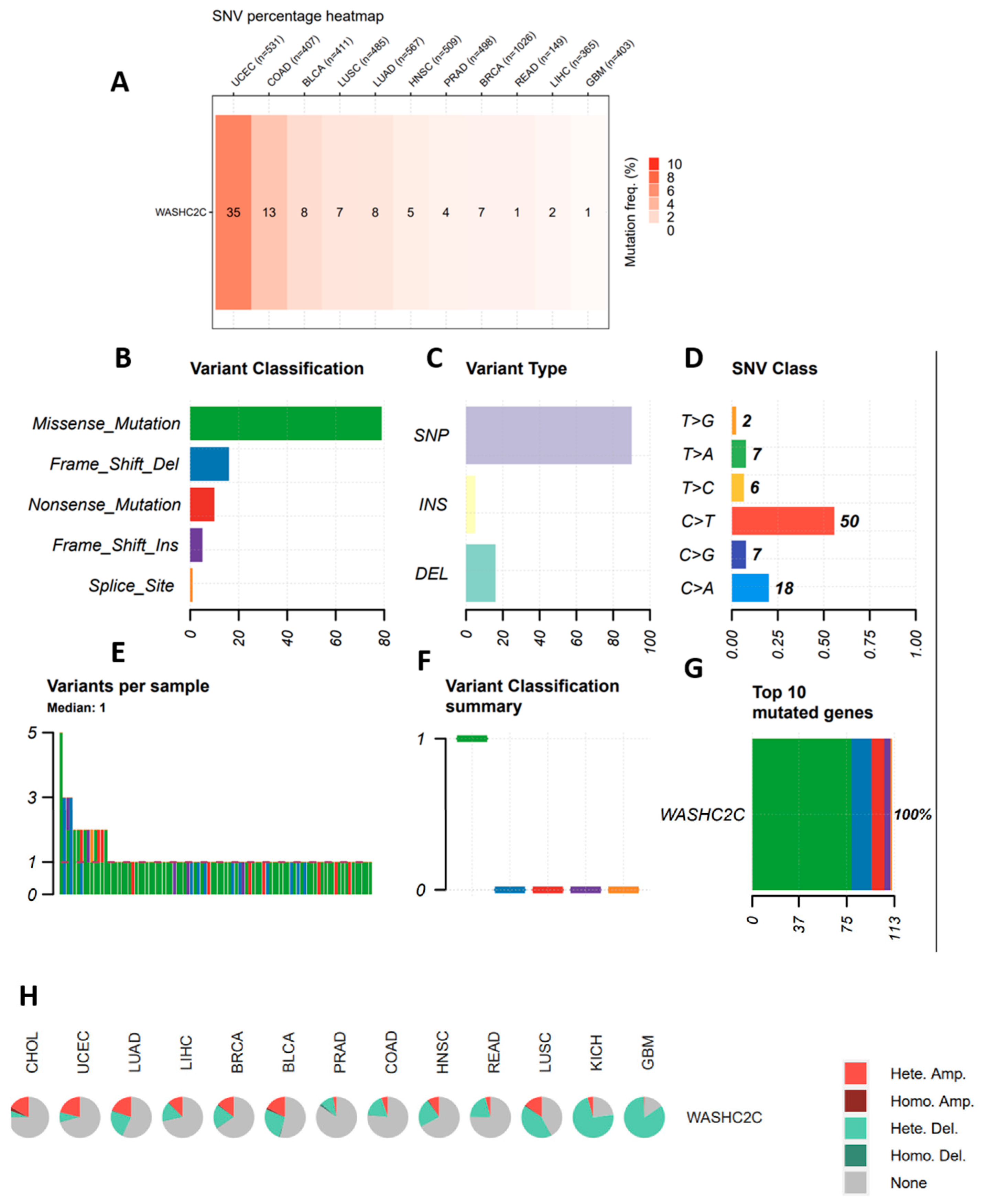 Preprints 228273 g011 Preprints 228273 g011